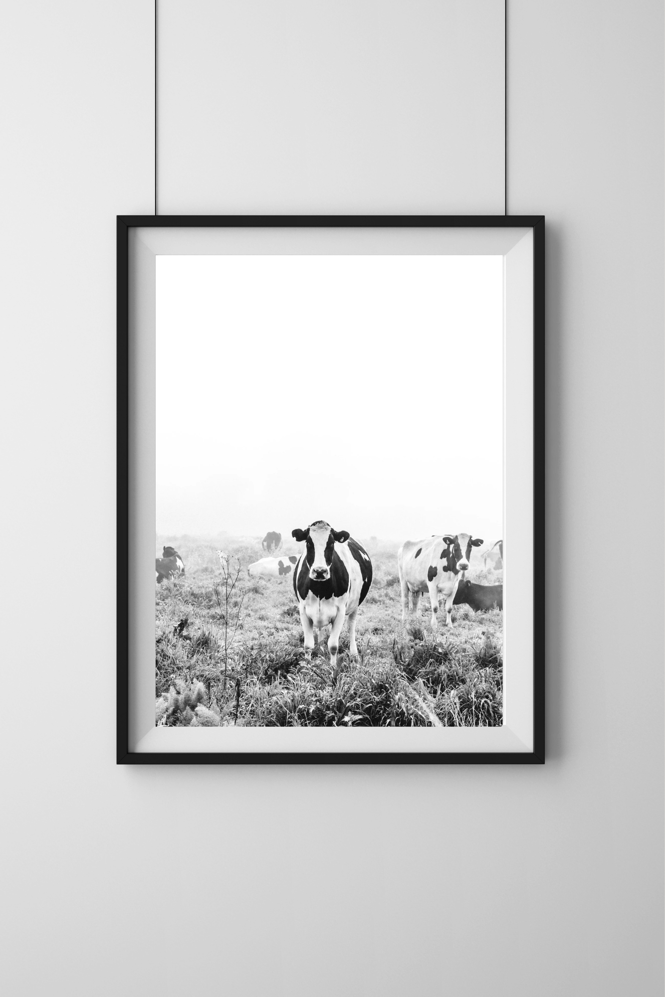 Dolores Dairy Cow Photographic Print