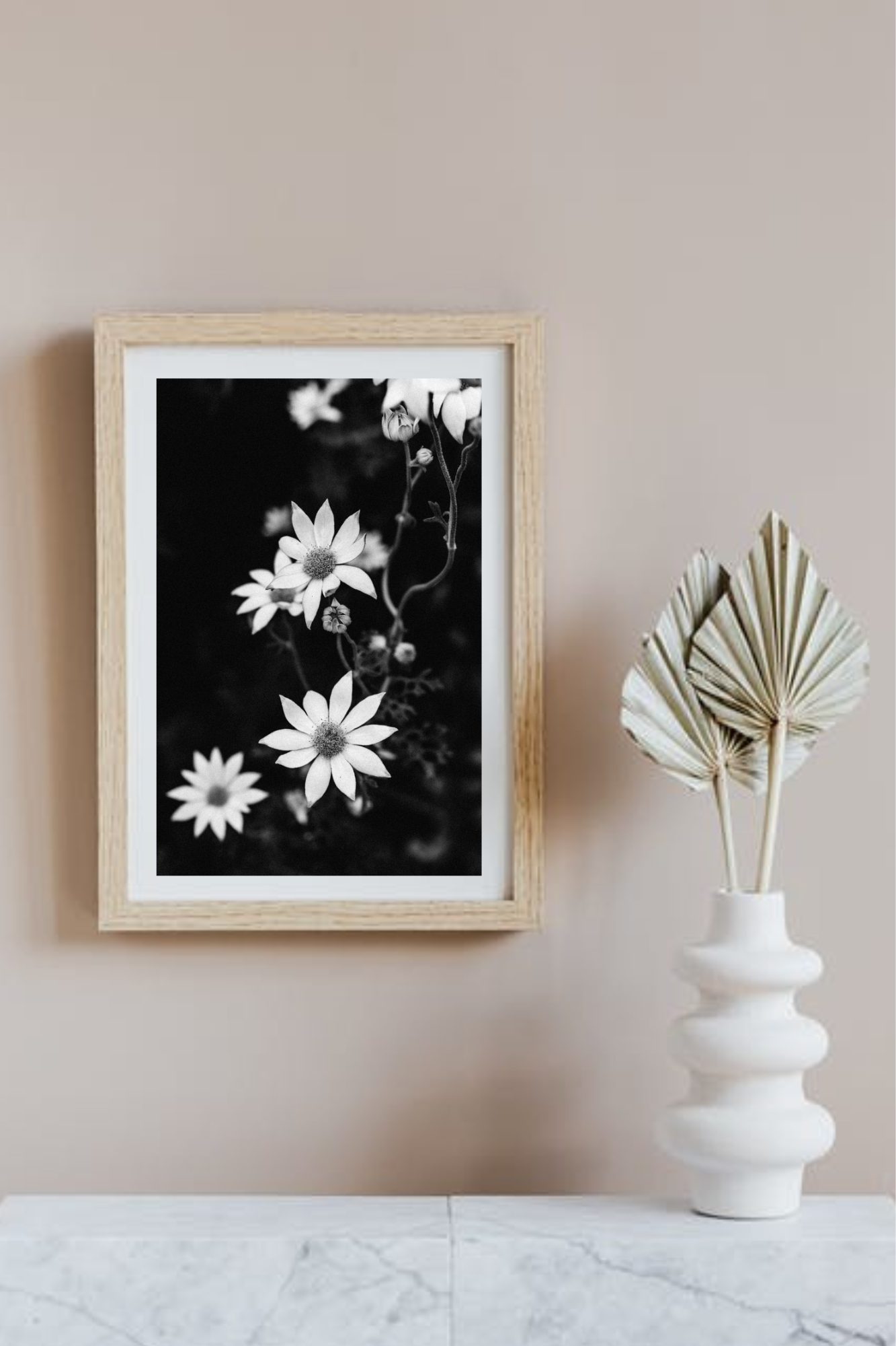Australian Flannel Flower IV B+W Photographic Print