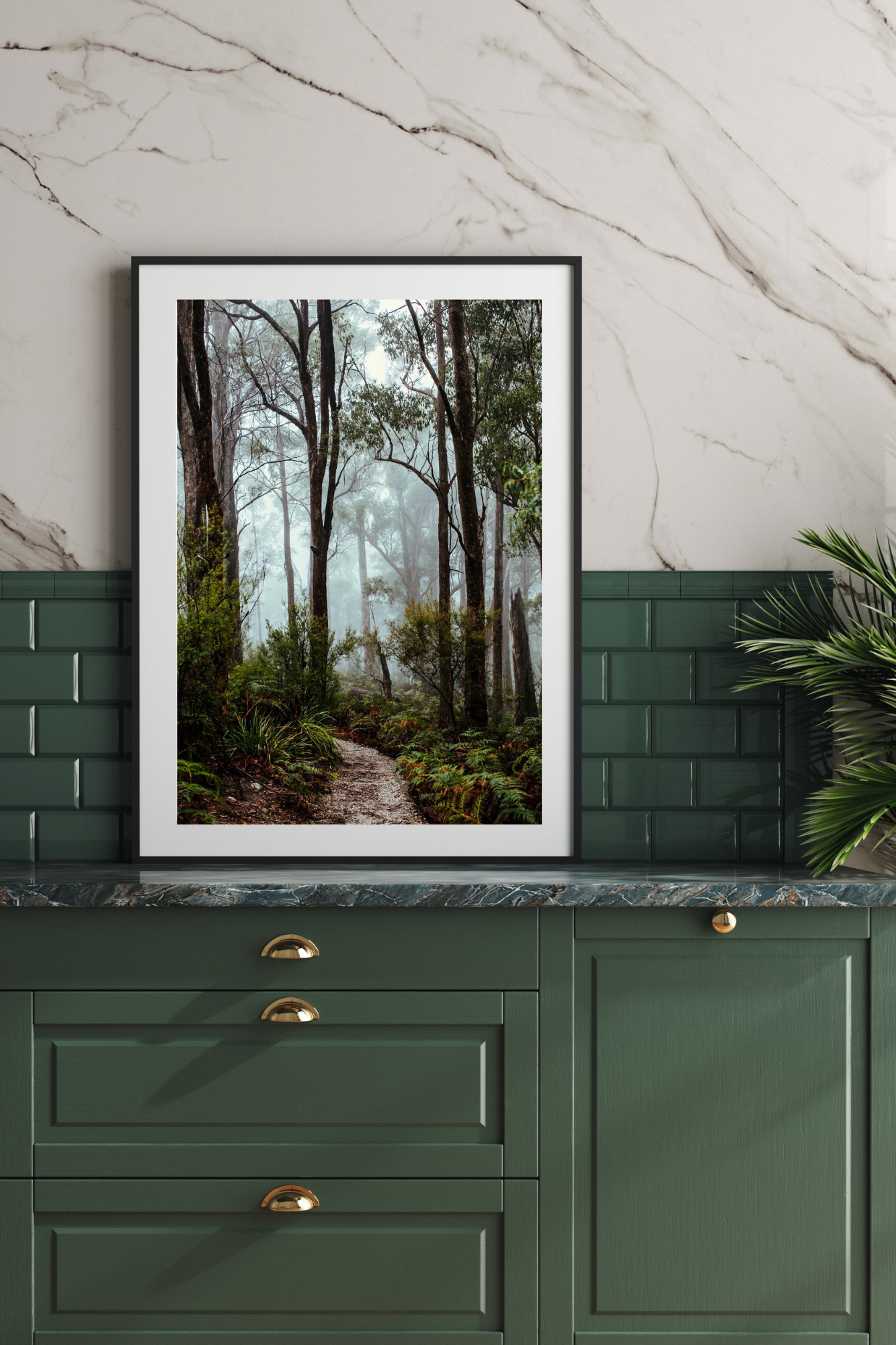 Tasmanian Rainforest Photographic Print