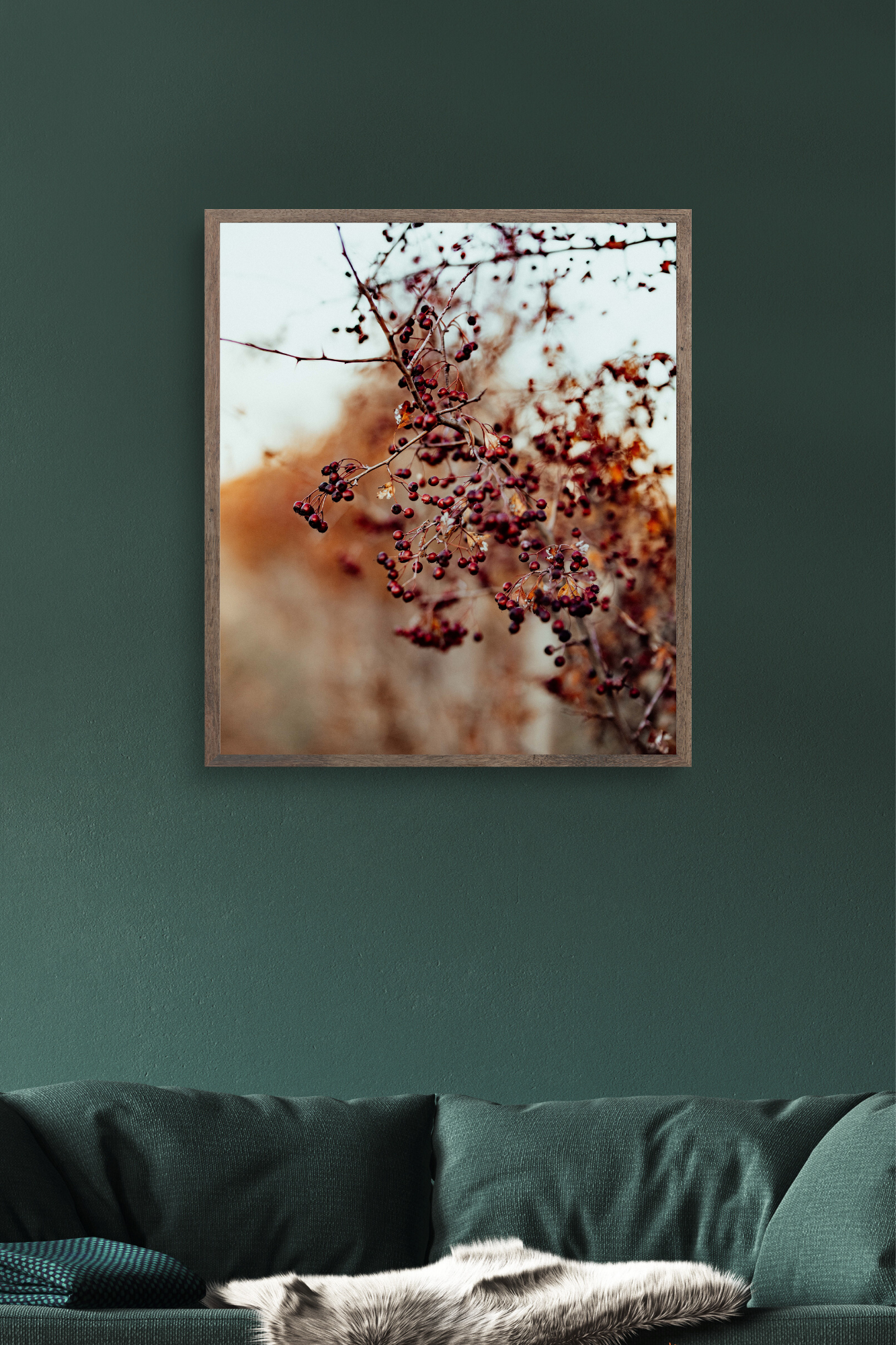 The Hedge Line I Photographic Print