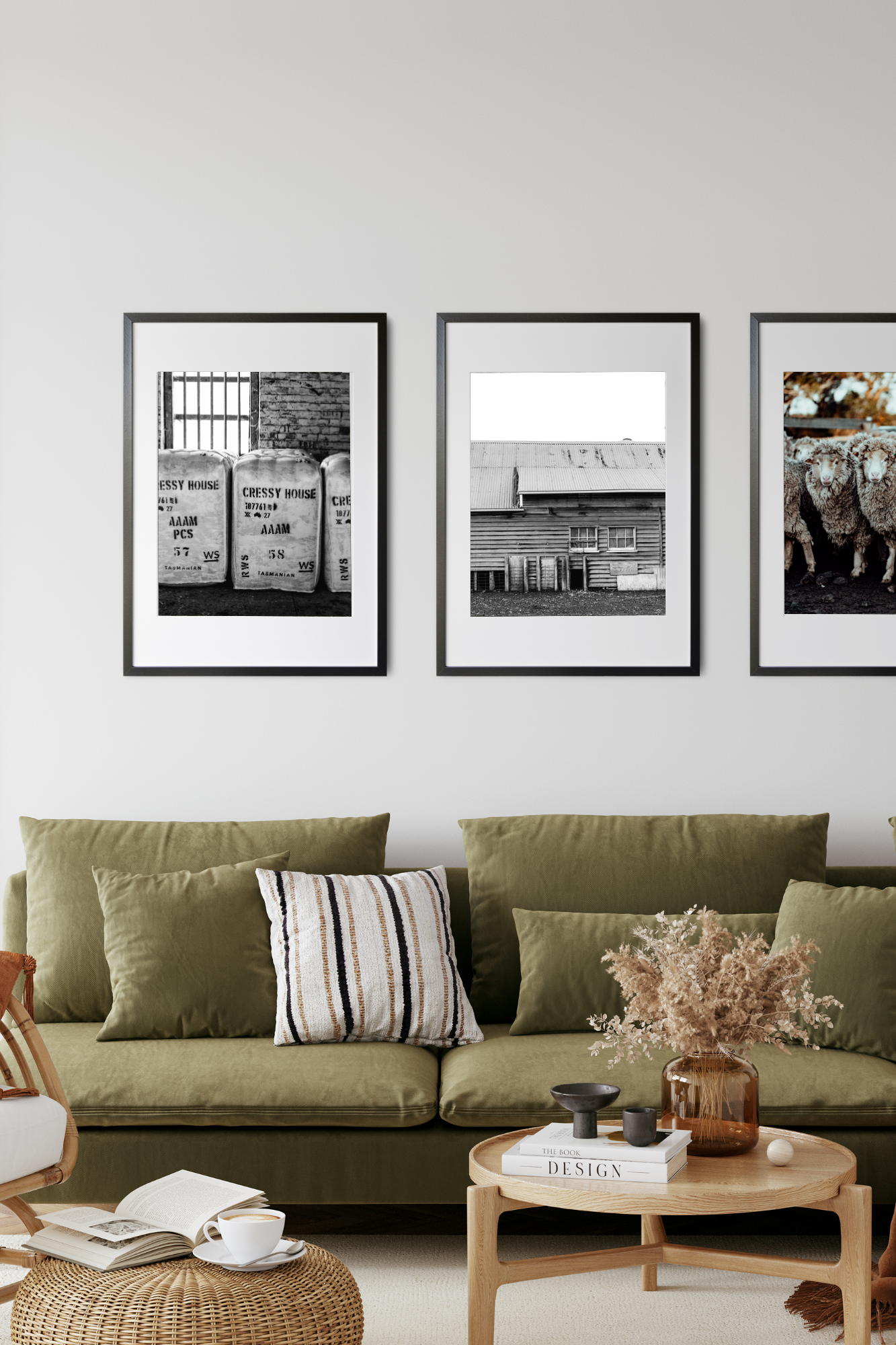 The Old Shearing Shed II Photographic Print