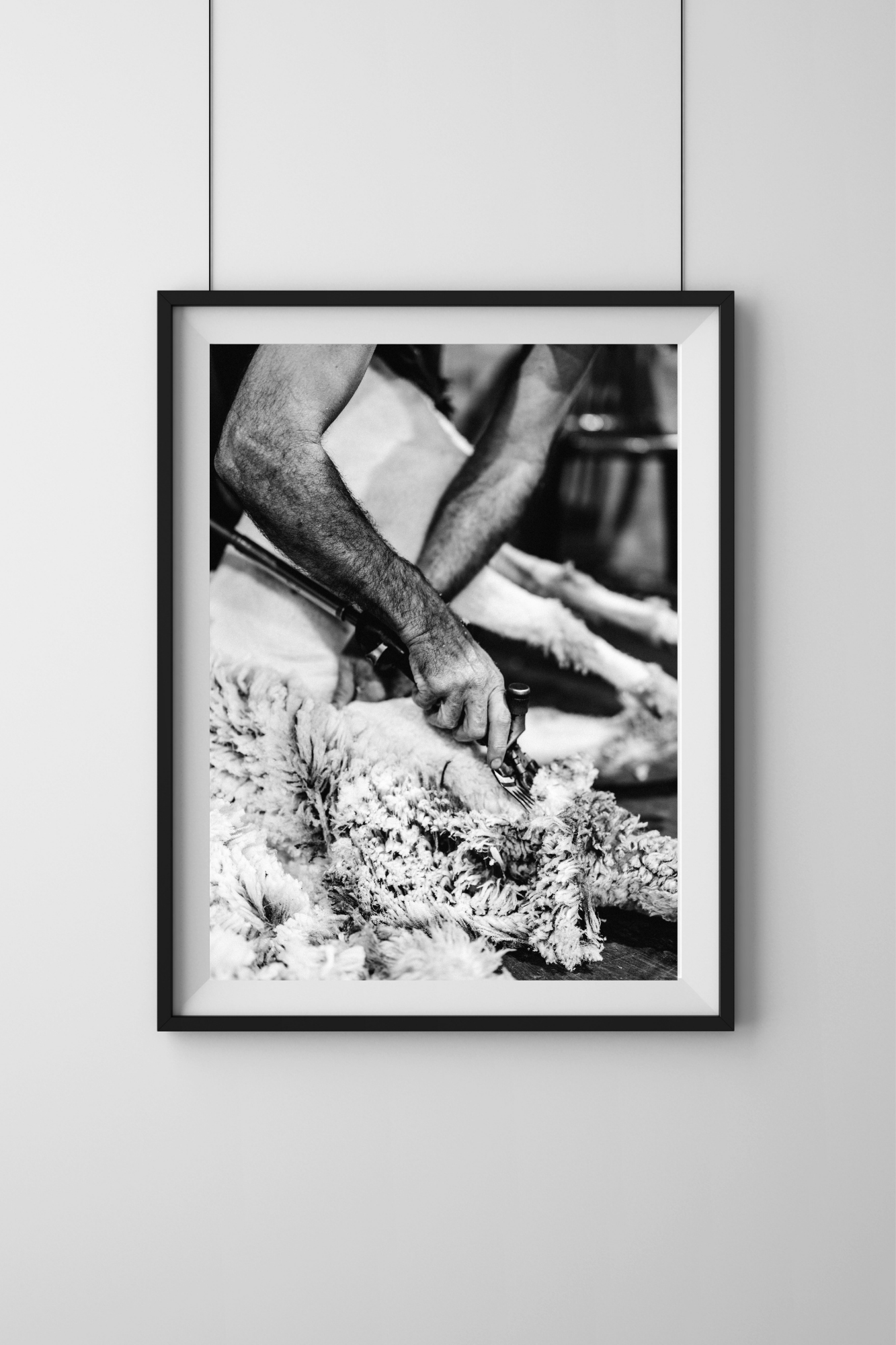 In Rhythm and Wool II Photographic Print