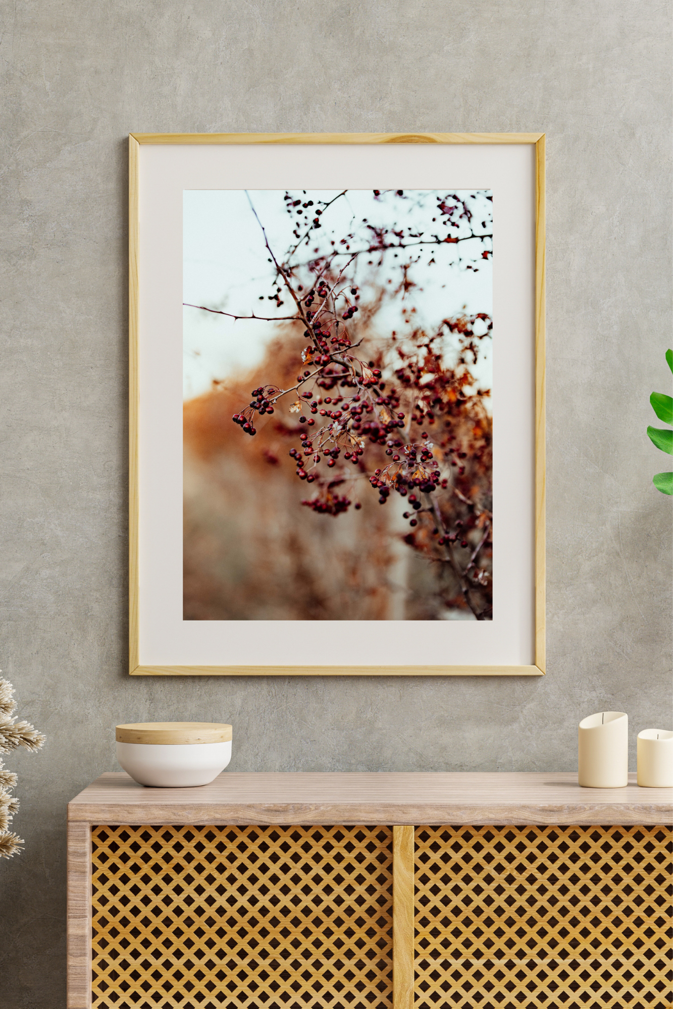 The Hedge Line I Photographic Print
