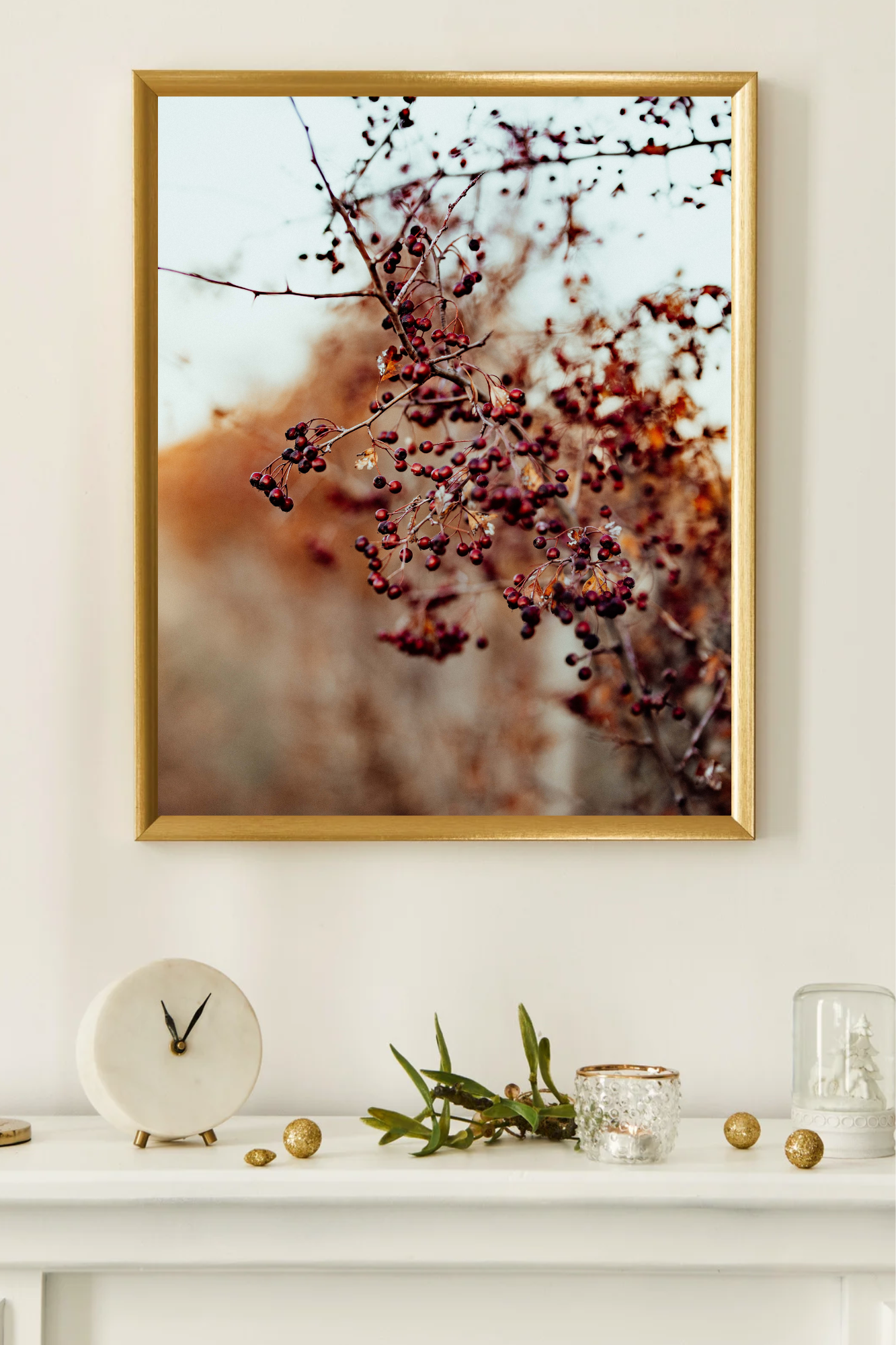 The Hedge Line I Photographic Print