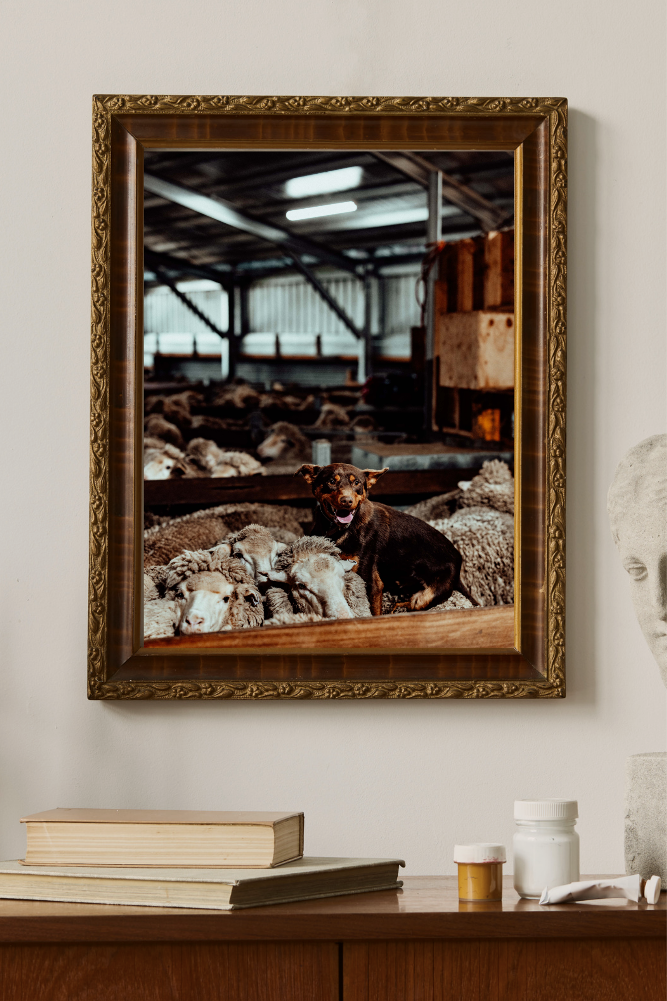 Top of the Mob Photographic Print