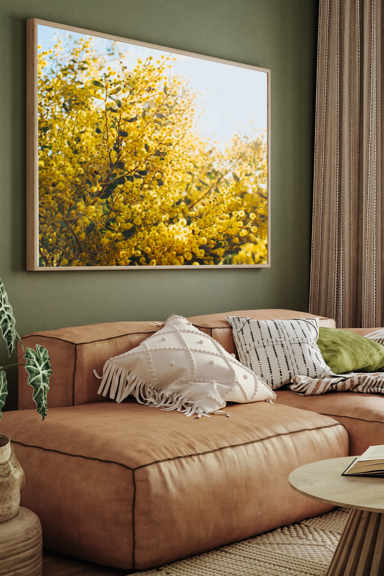 Australian Acacia Wattle Photographic Print