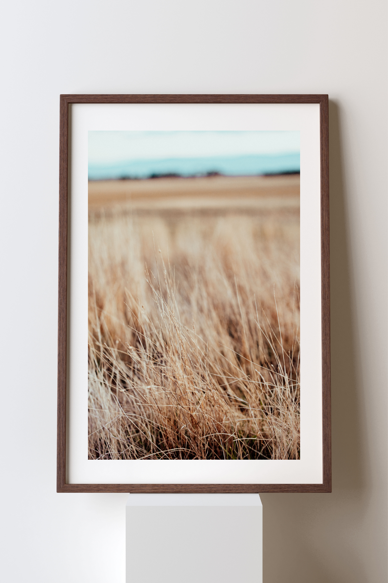Grassline I Photographic Print