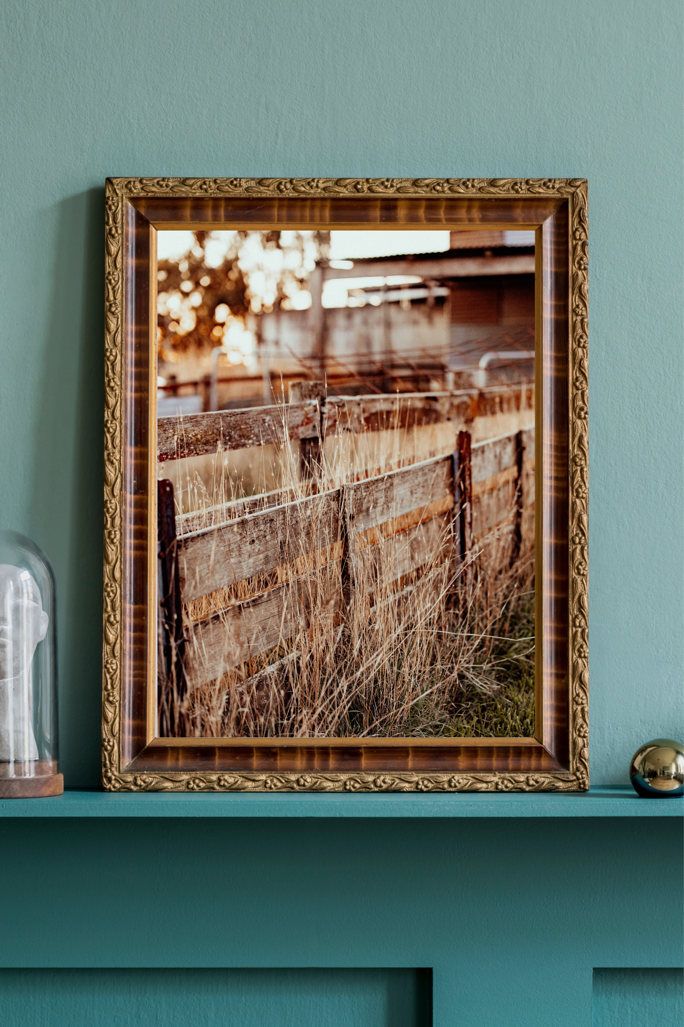 The Old Fence Photographic Print