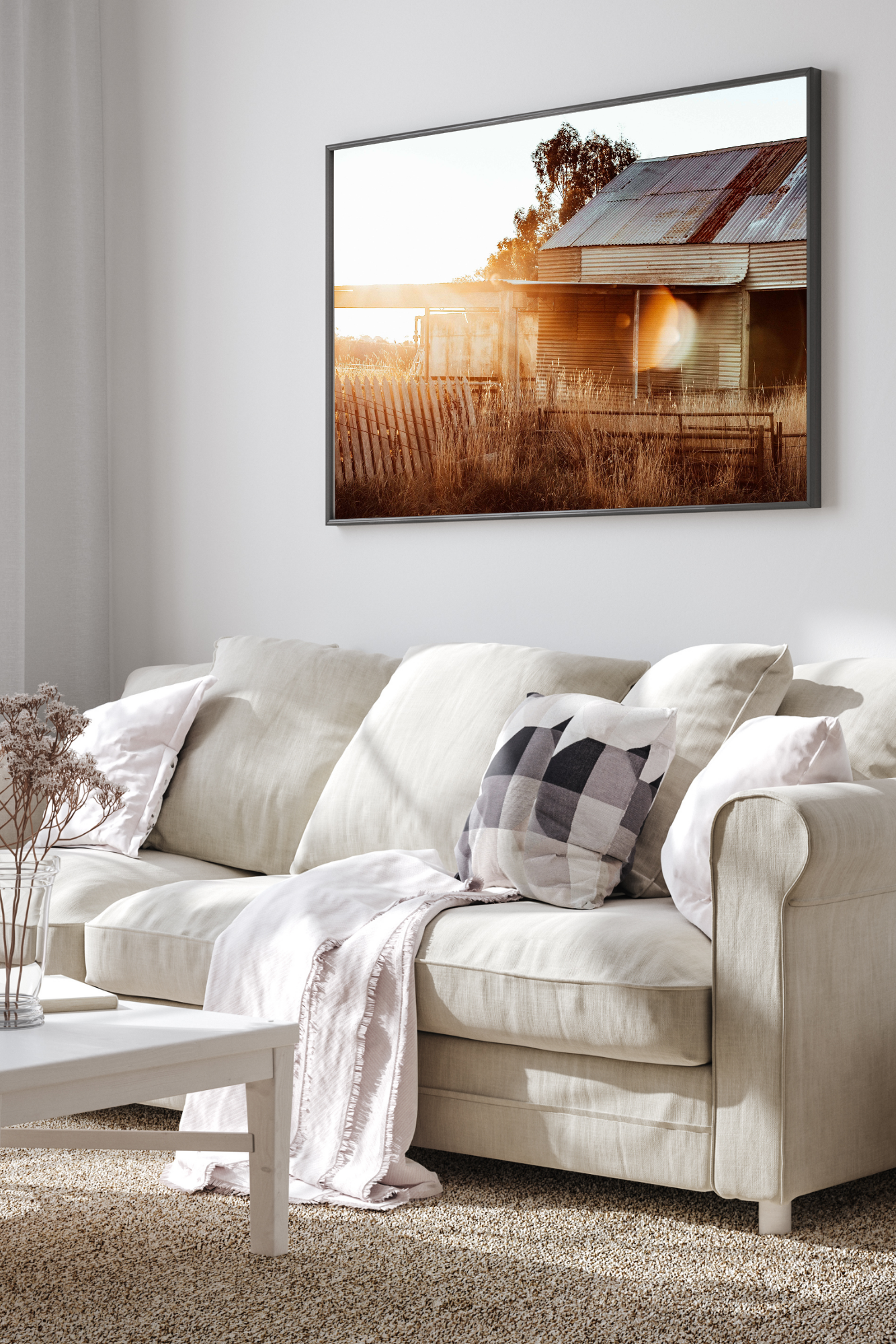 The Old Shed Photographic Print