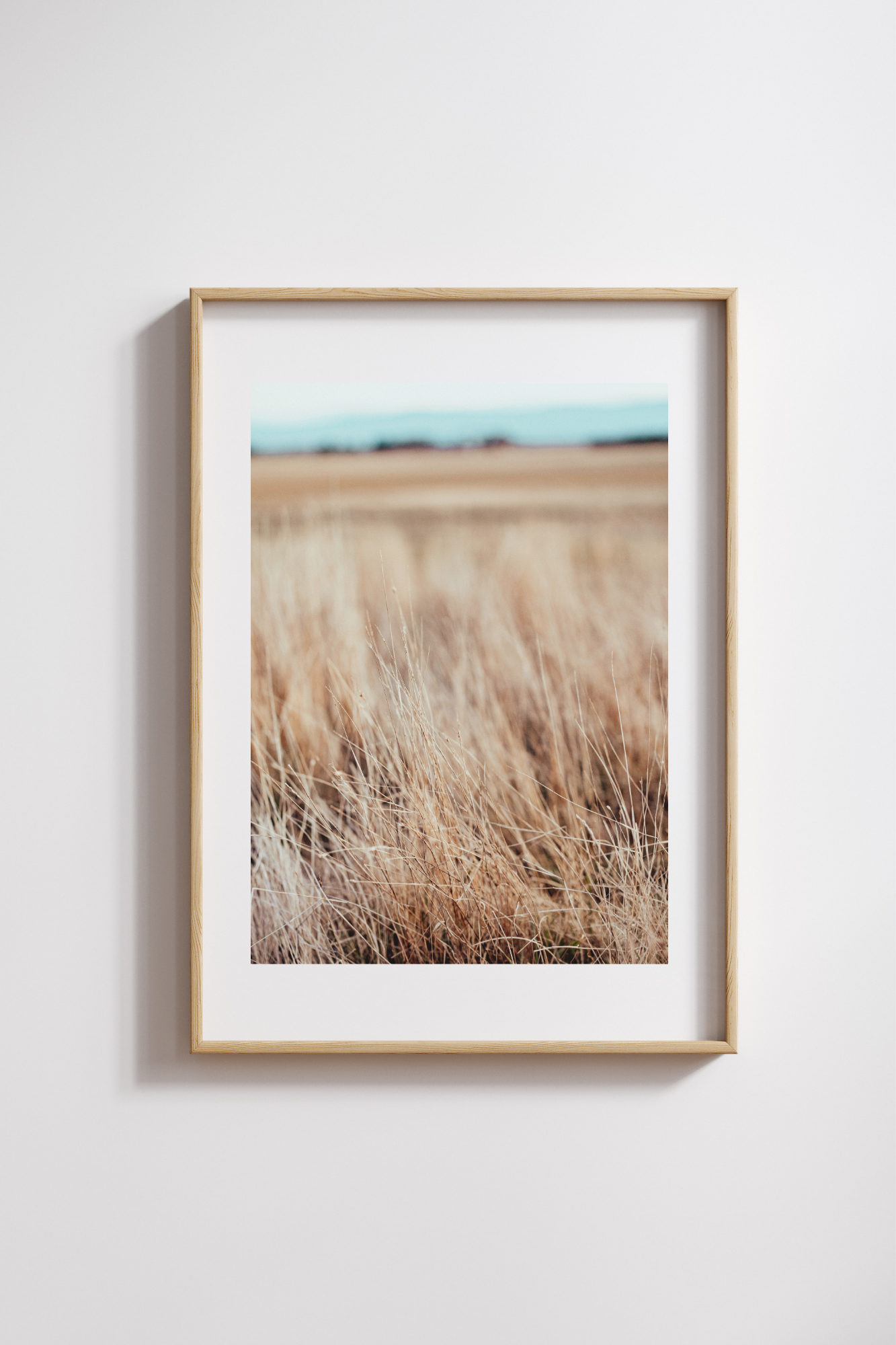 Grassline I Photographic Print