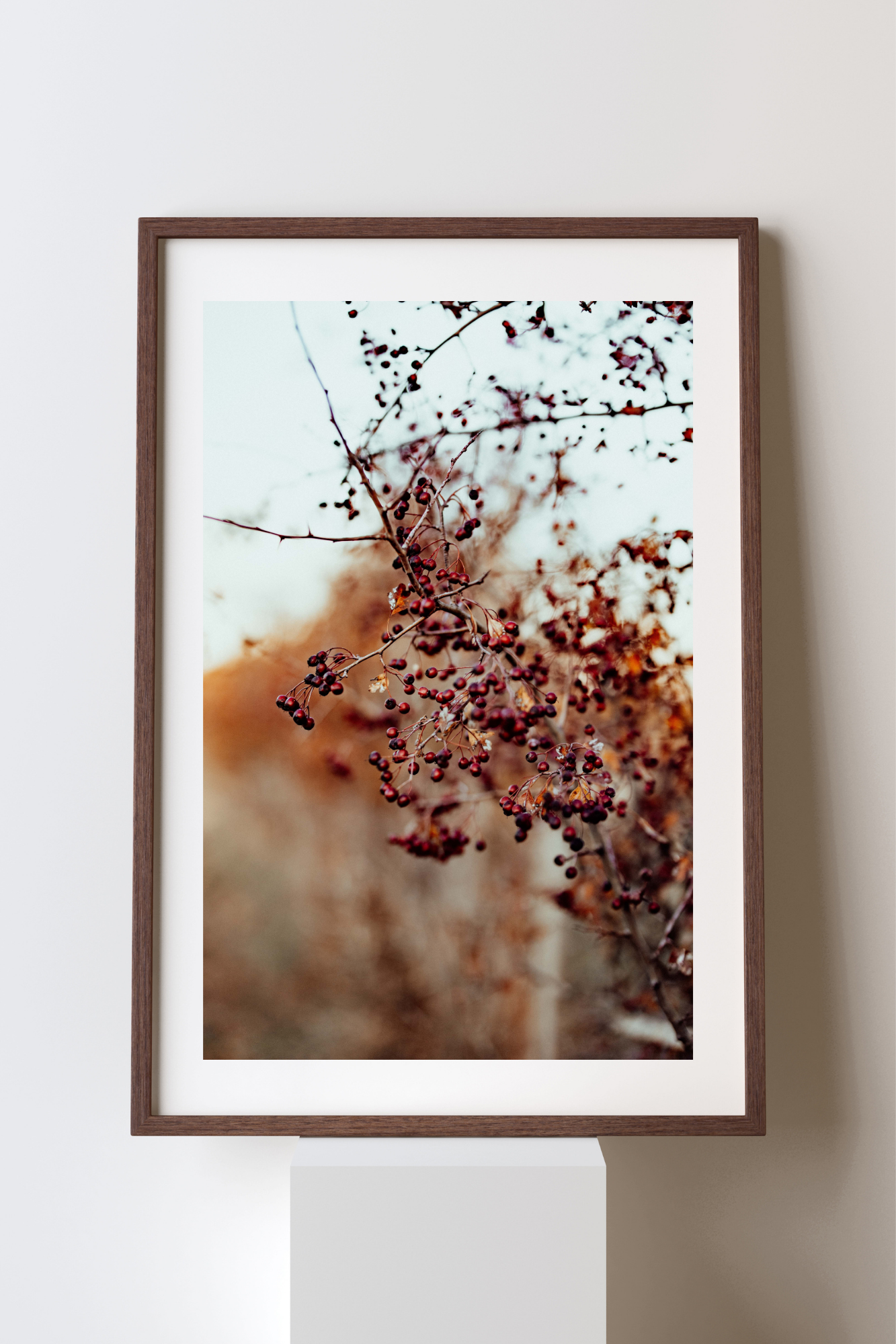 The Hedge Line I Photographic Print