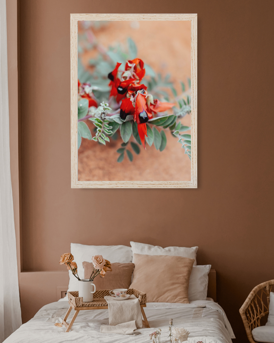 Australian Sturt Desert Pea Flower II Photographic Print