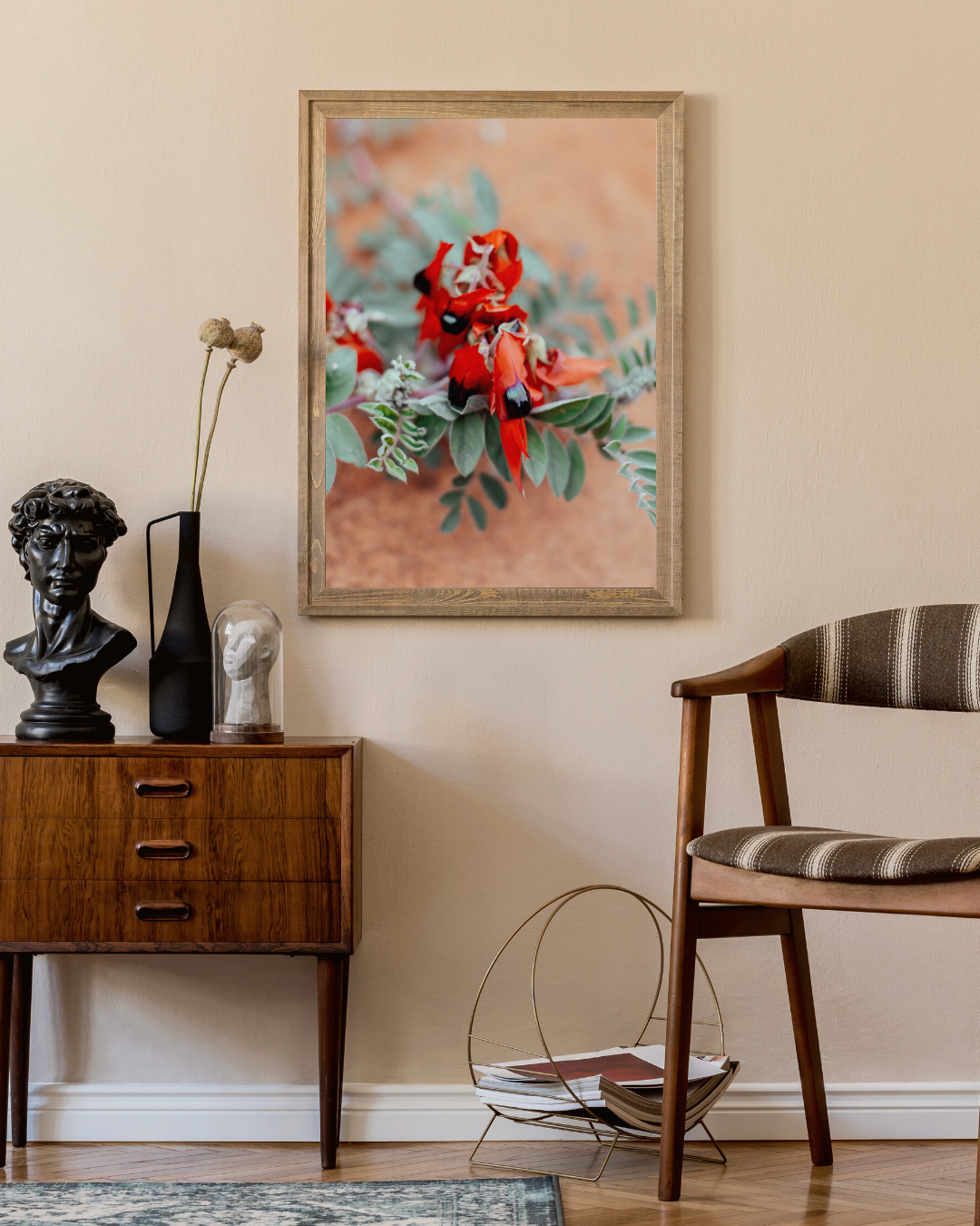 Australian Sturt Desert Pea Flower II Photographic Print