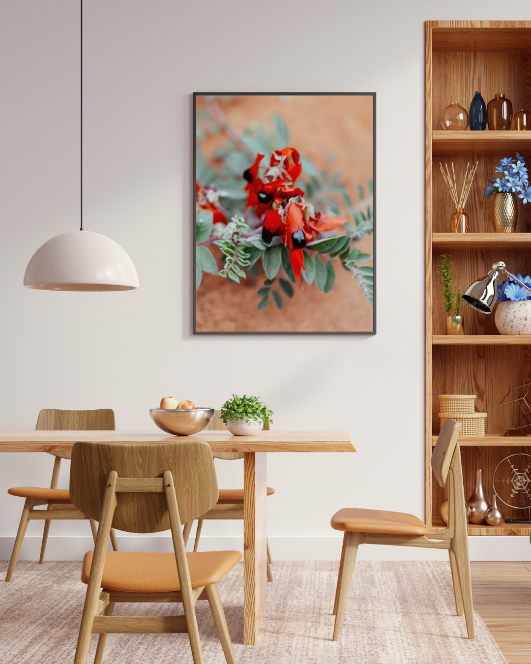 Australian Sturt Desert Pea Flower II Photographic Print