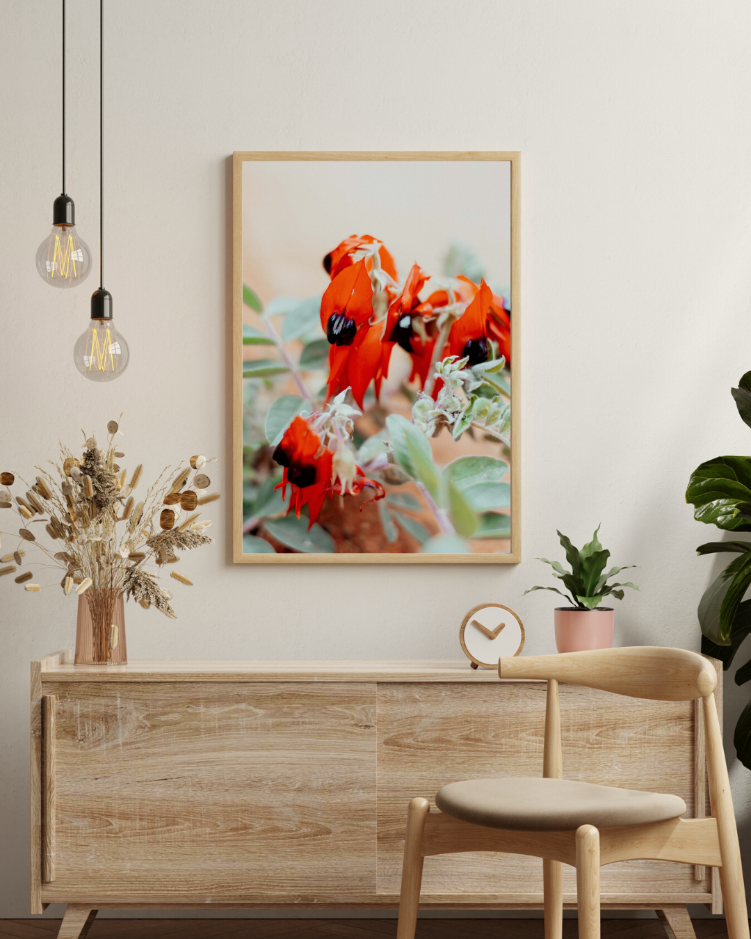 Australian Sturt Desert Pea Flower I Photographic Print