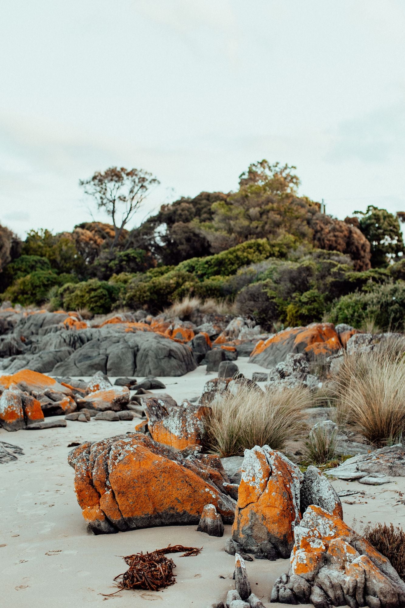 Hawley Beach II Tasmania Photographic Print