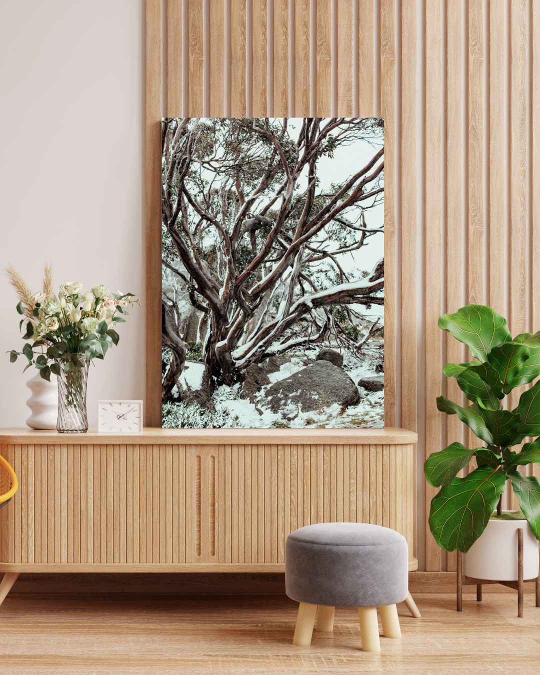 Snow Gum Kosciuszko II Photographic Print