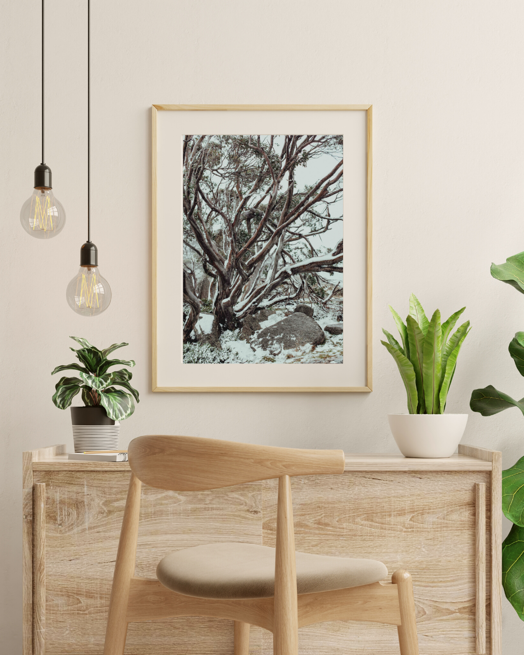 Snow Gum Kosciuszko II Photographic Print