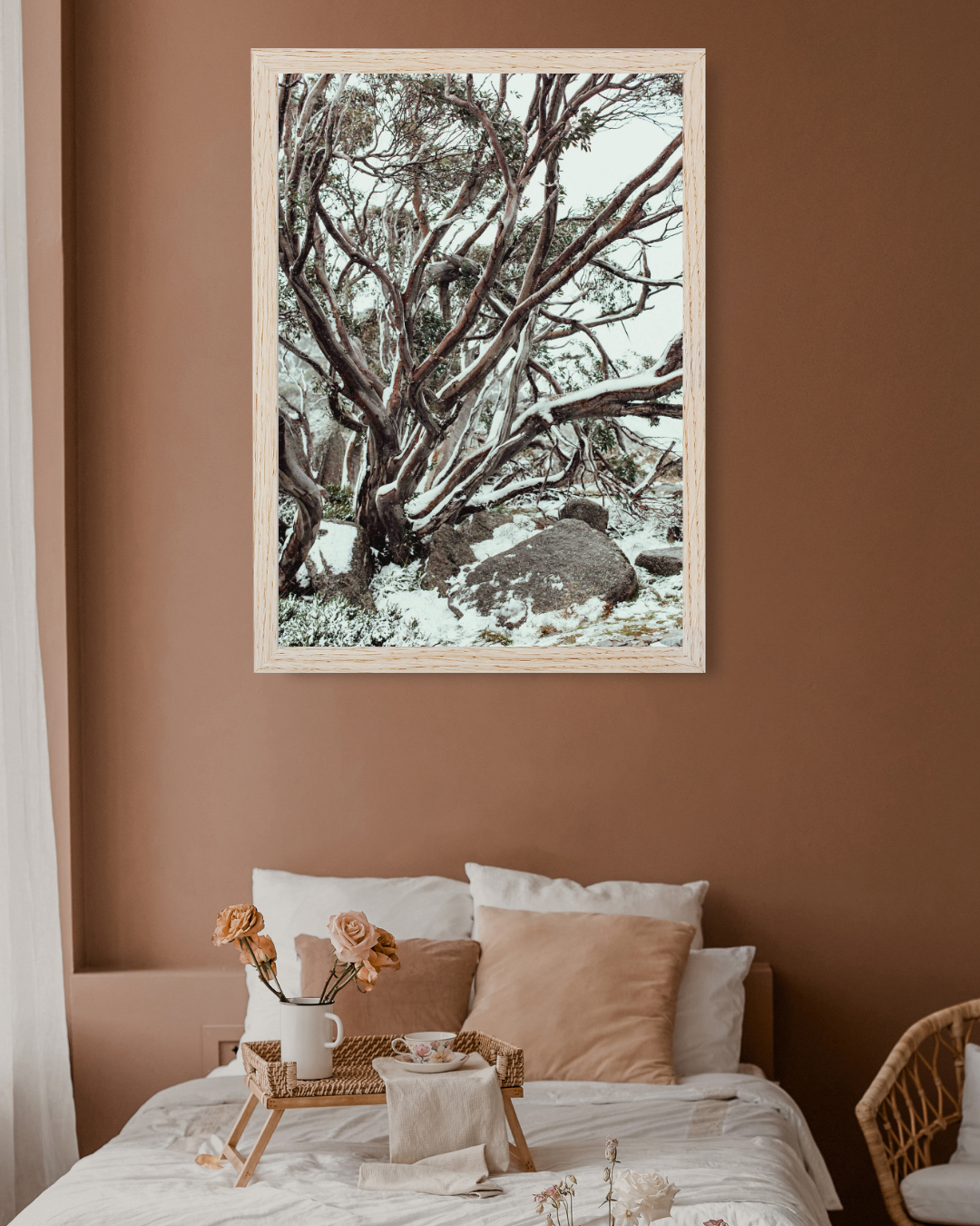 Snow Gum Kosciuszko II Photographic Print