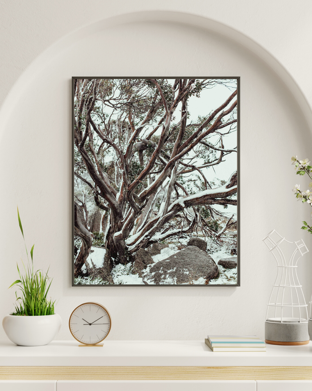 Snow Gum Kosciuszko II Photographic Print