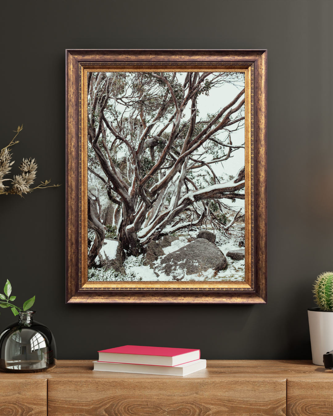 Snow Gum Kosciuszko II Photographic Print