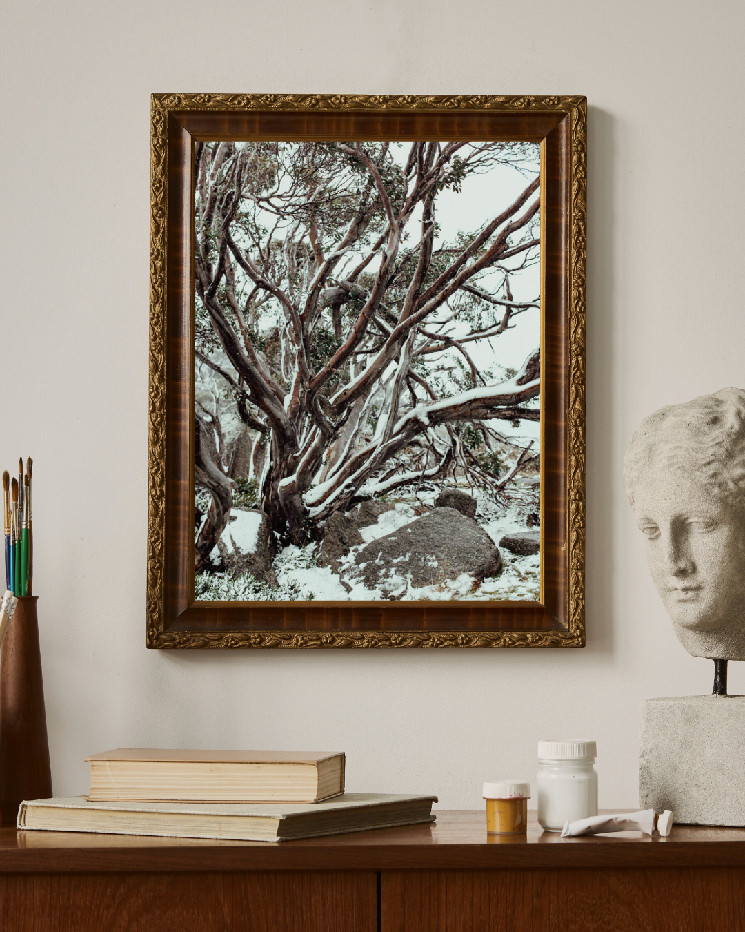 Snow Gum Kosciuszko II Photographic Print