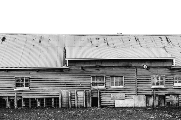 The Old Shearing Shed II Photographic Print