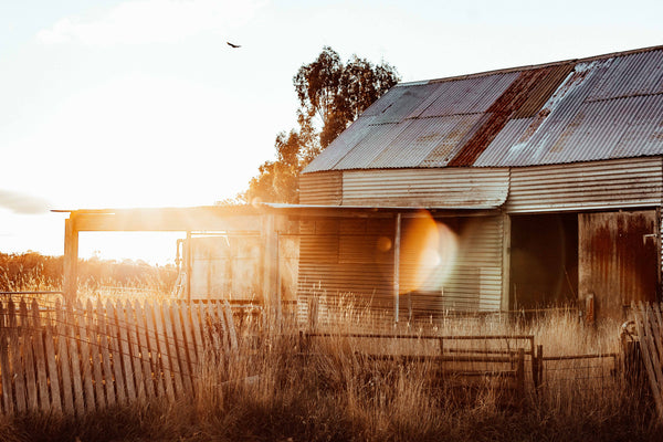 The Old Shed Photographic Print
