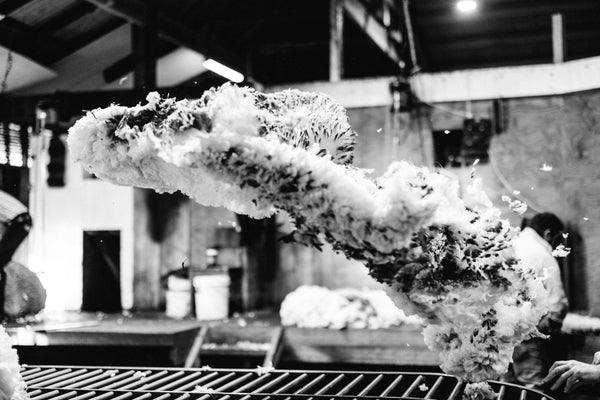 Throw of the Fleece Photographic Print