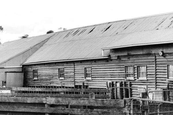 Weathered Boards Photographic Print