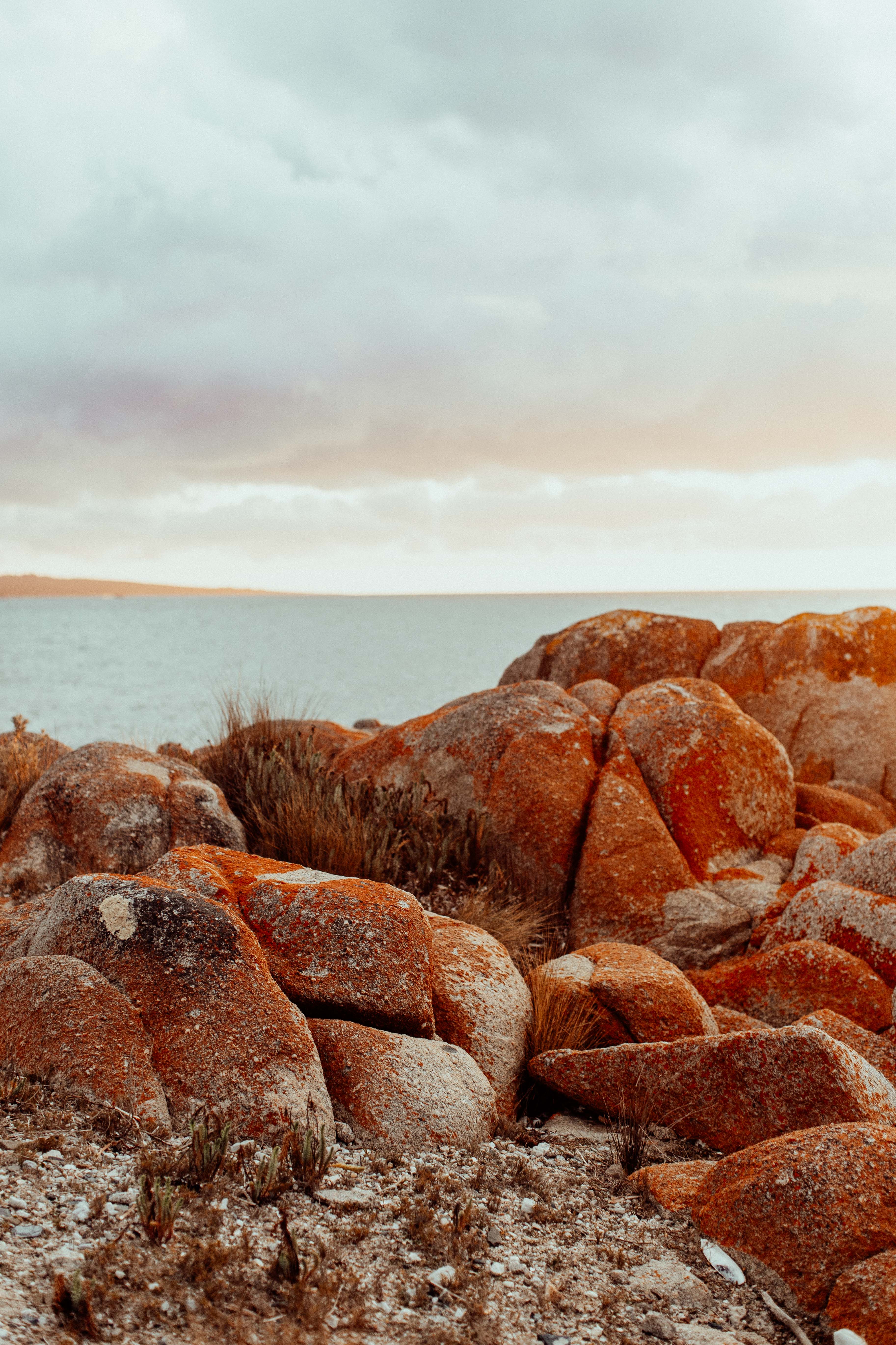 Waterhouse Conservation Tasmania I Photographic Print