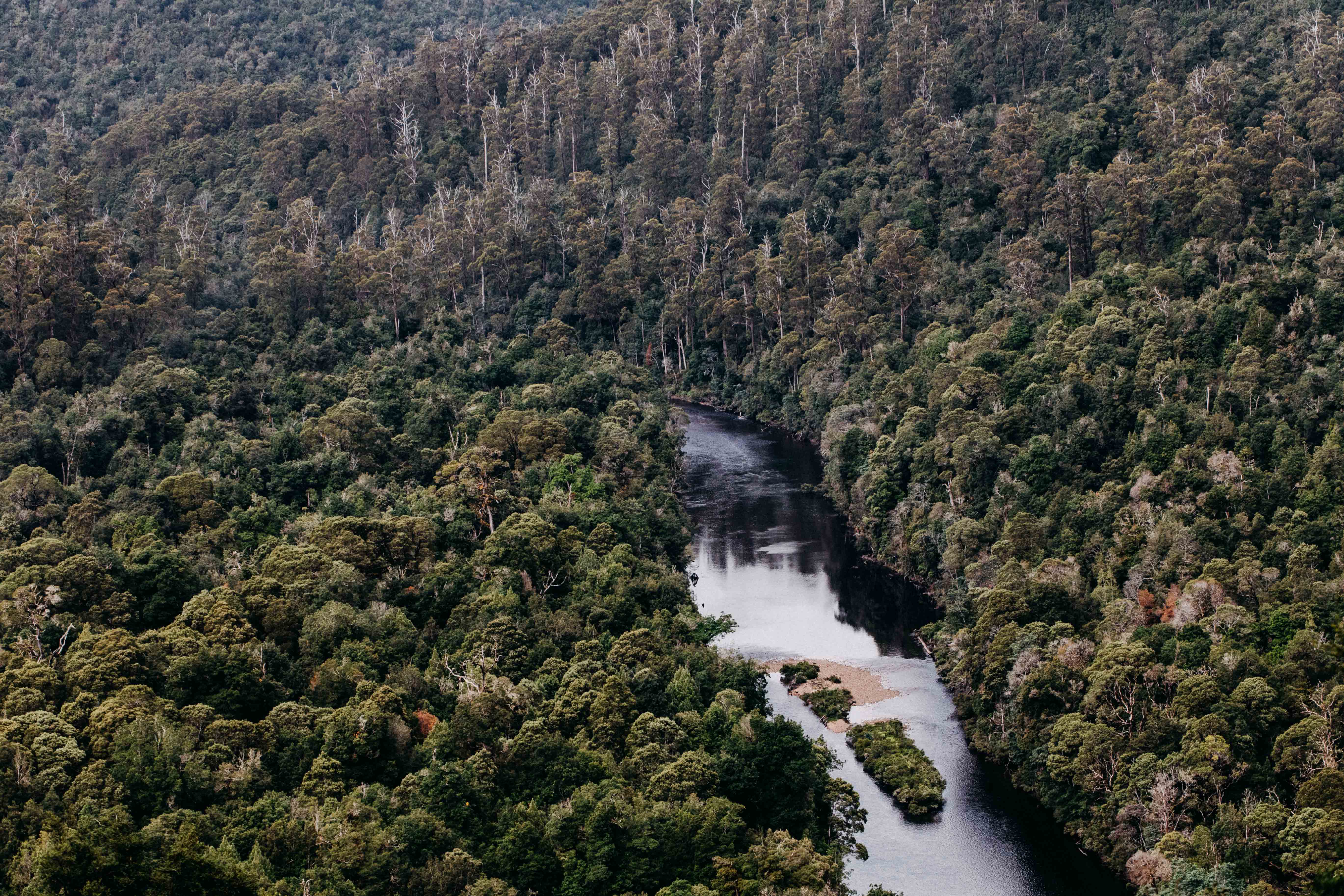 Tarkine III Photographic Print