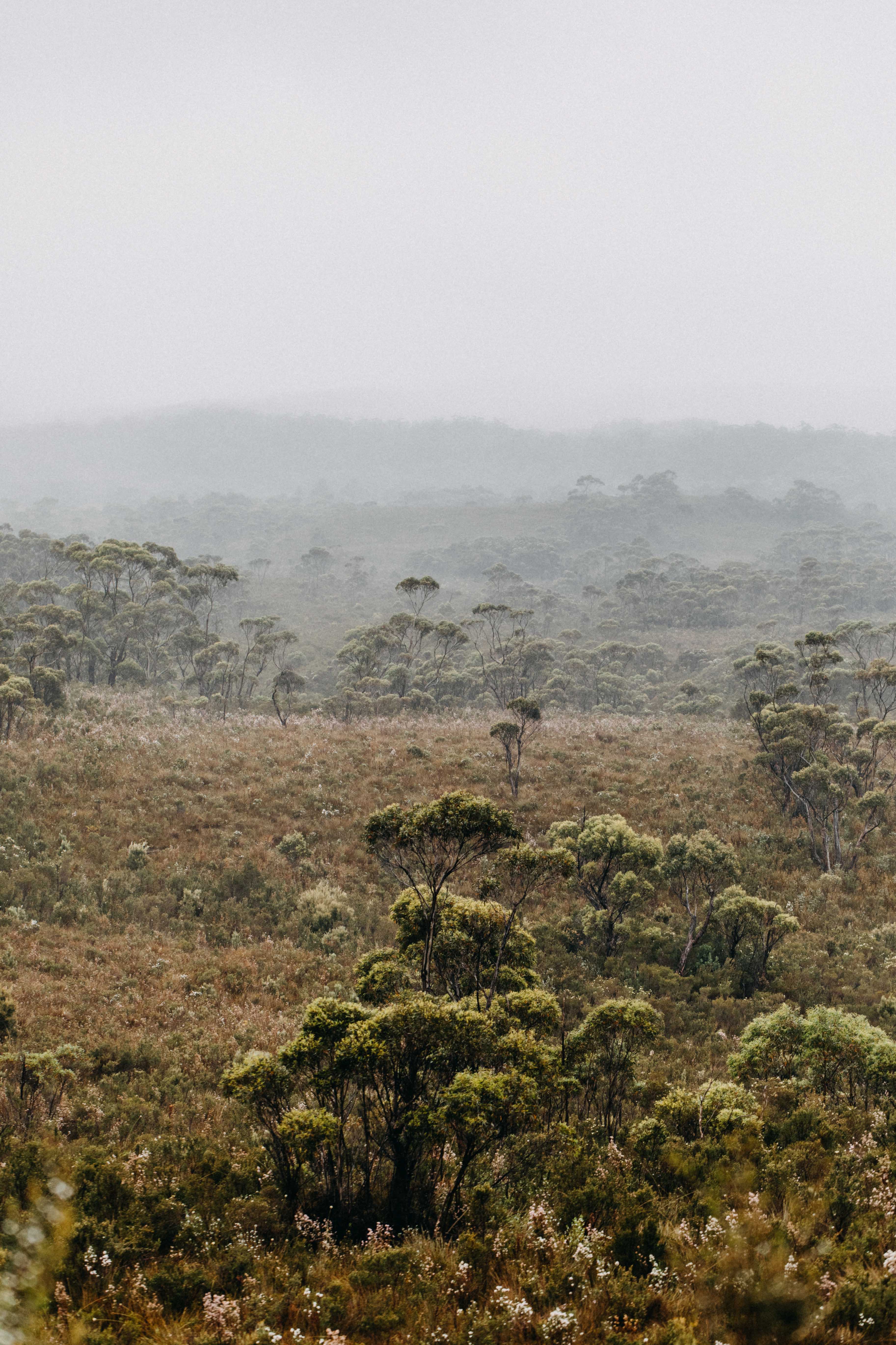 Tasmanian West Coast II Photographic Print
