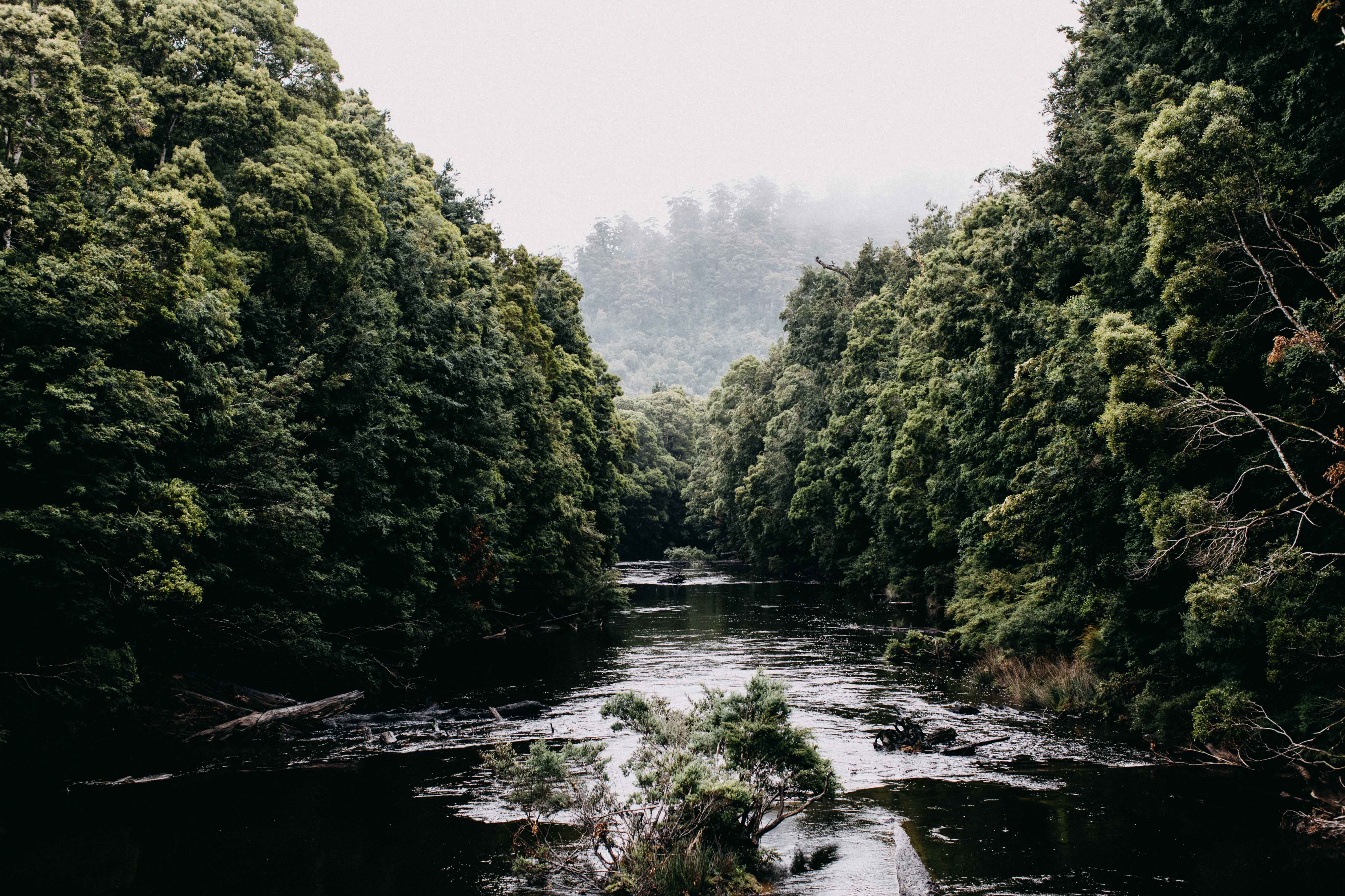 Savage River I Photographic Print