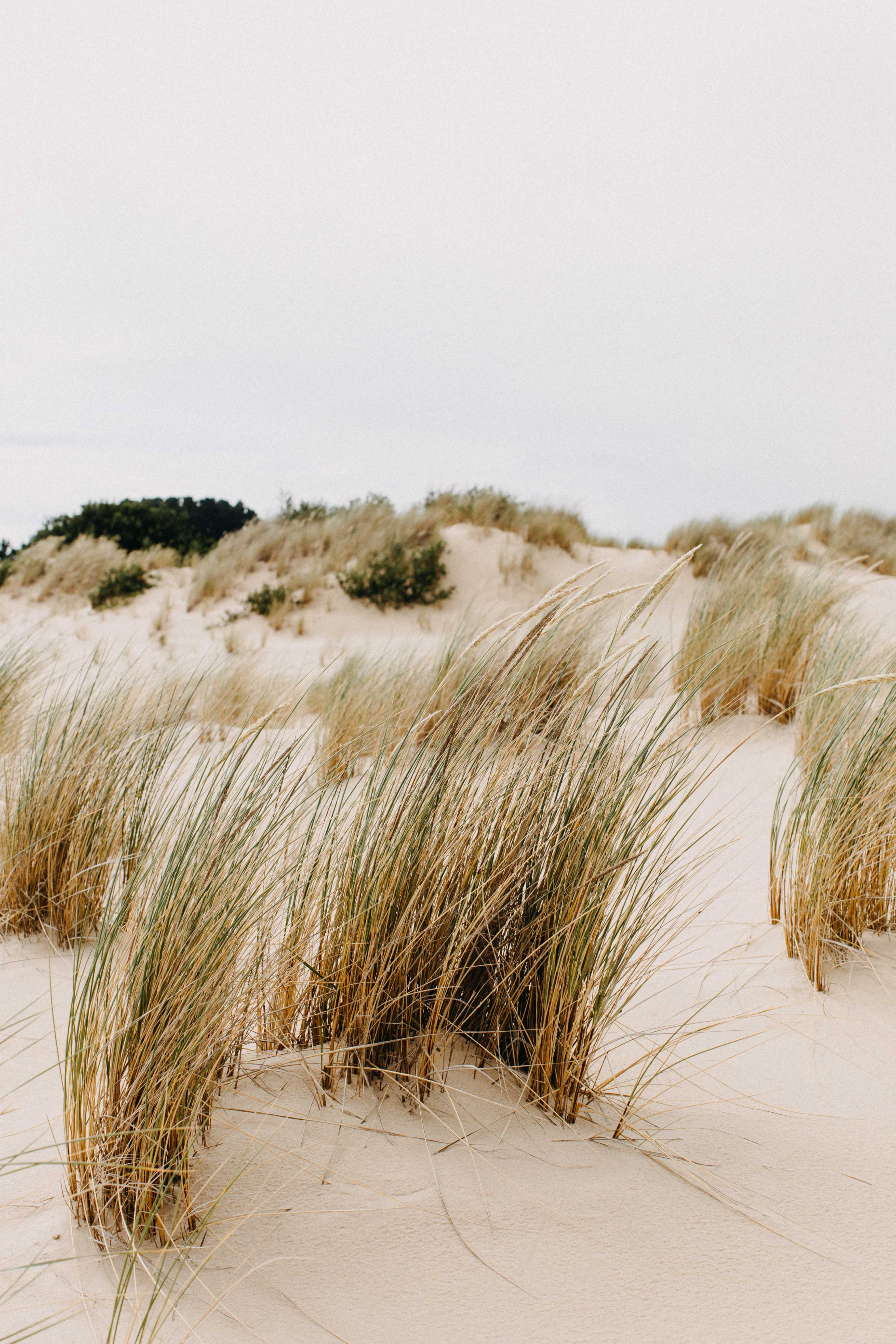 Henty Dunes III Photographic Print - Emily O'Brien