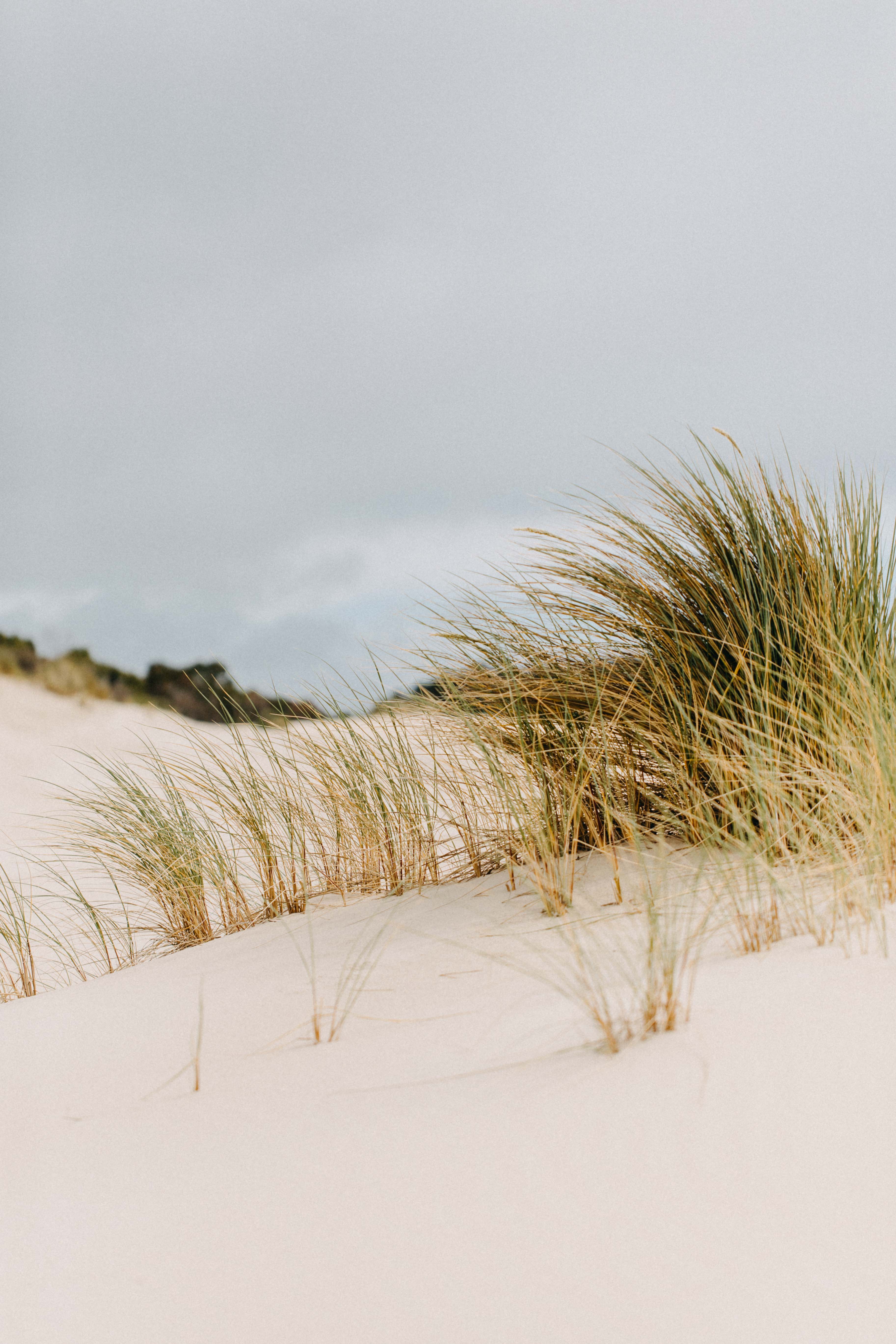 Henty Dunes IV Photographic Print - Emily O'Brien