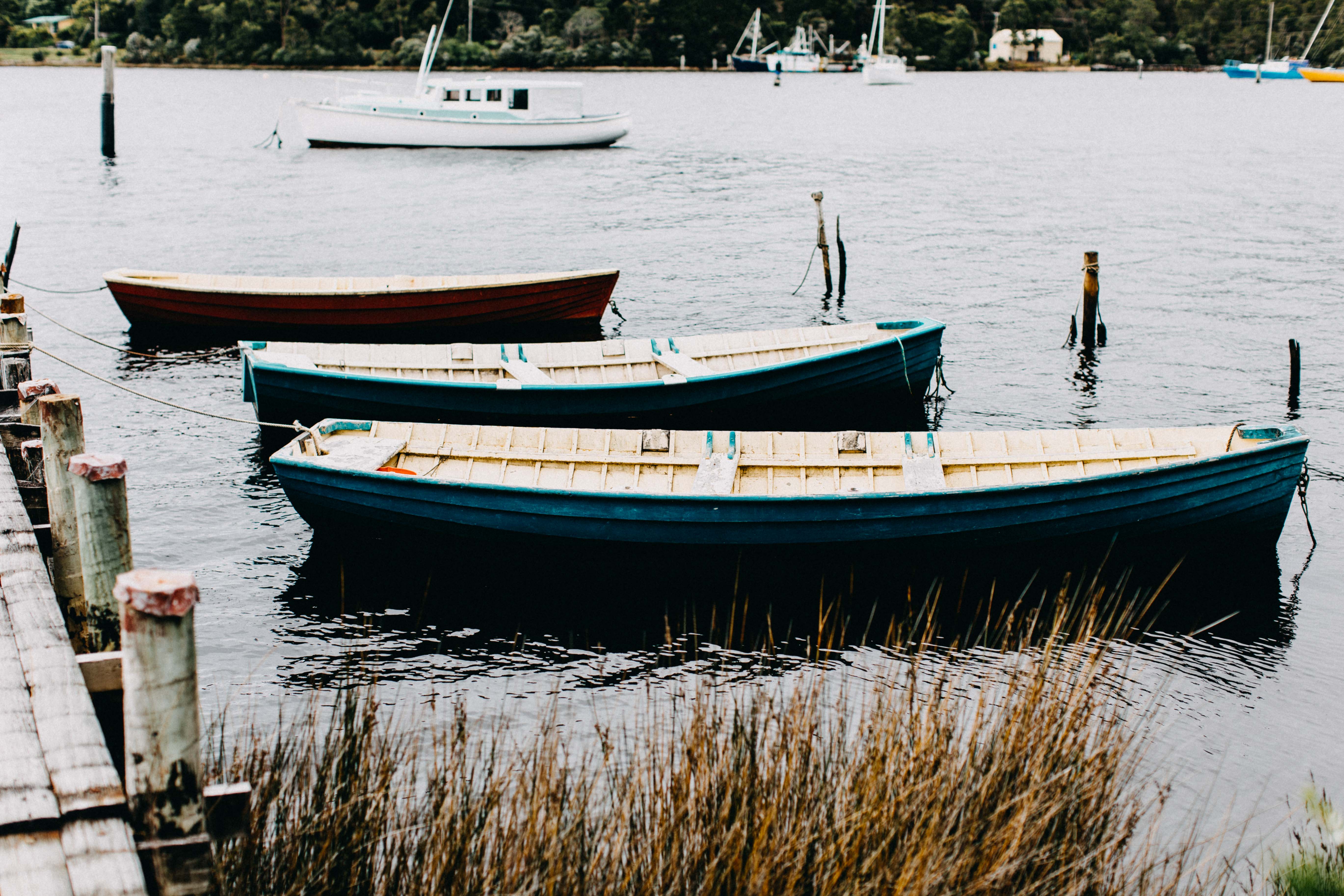 Strahan Row Boats Photographic Print