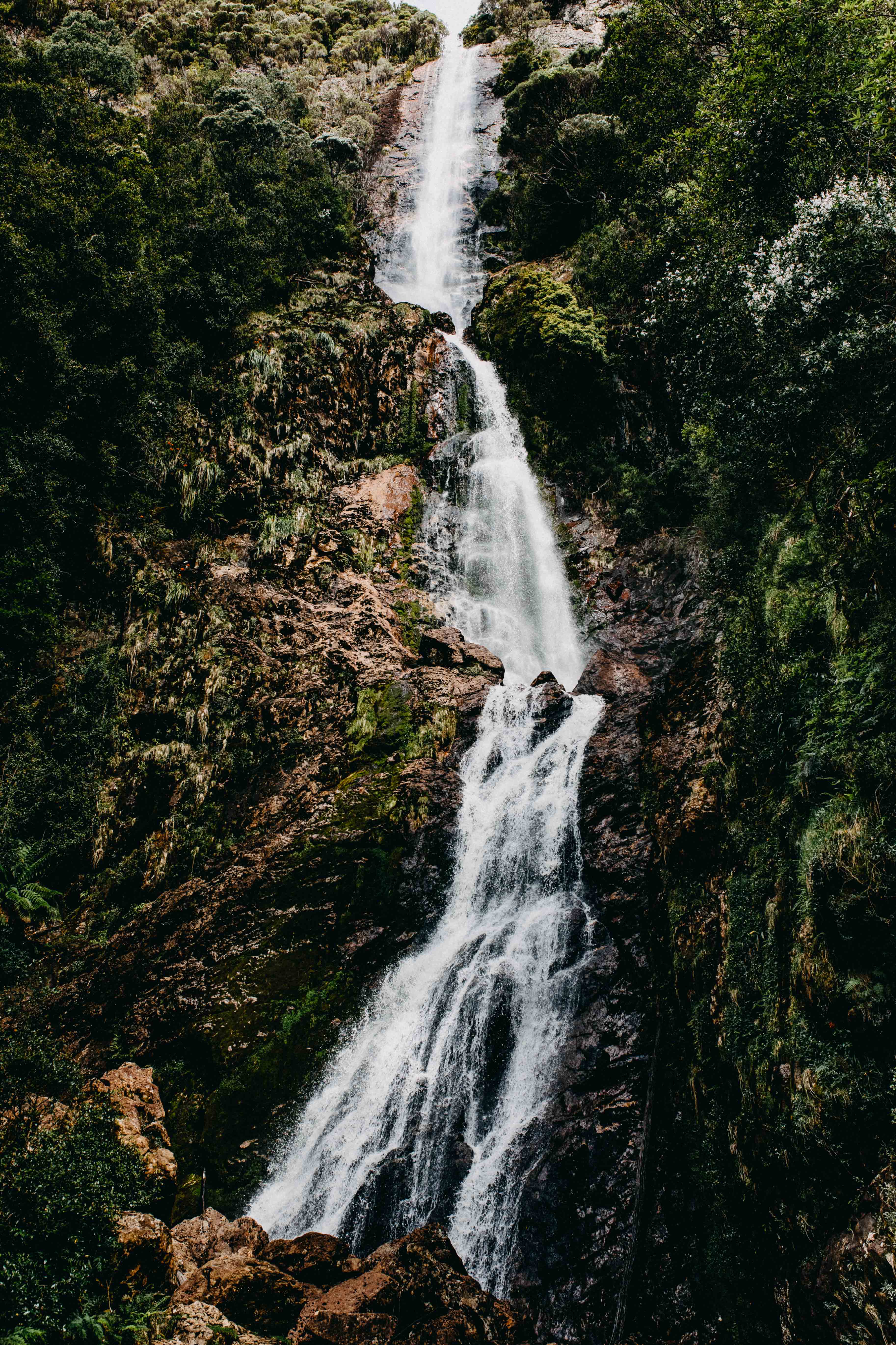 Montezuma Falls Photographic Print