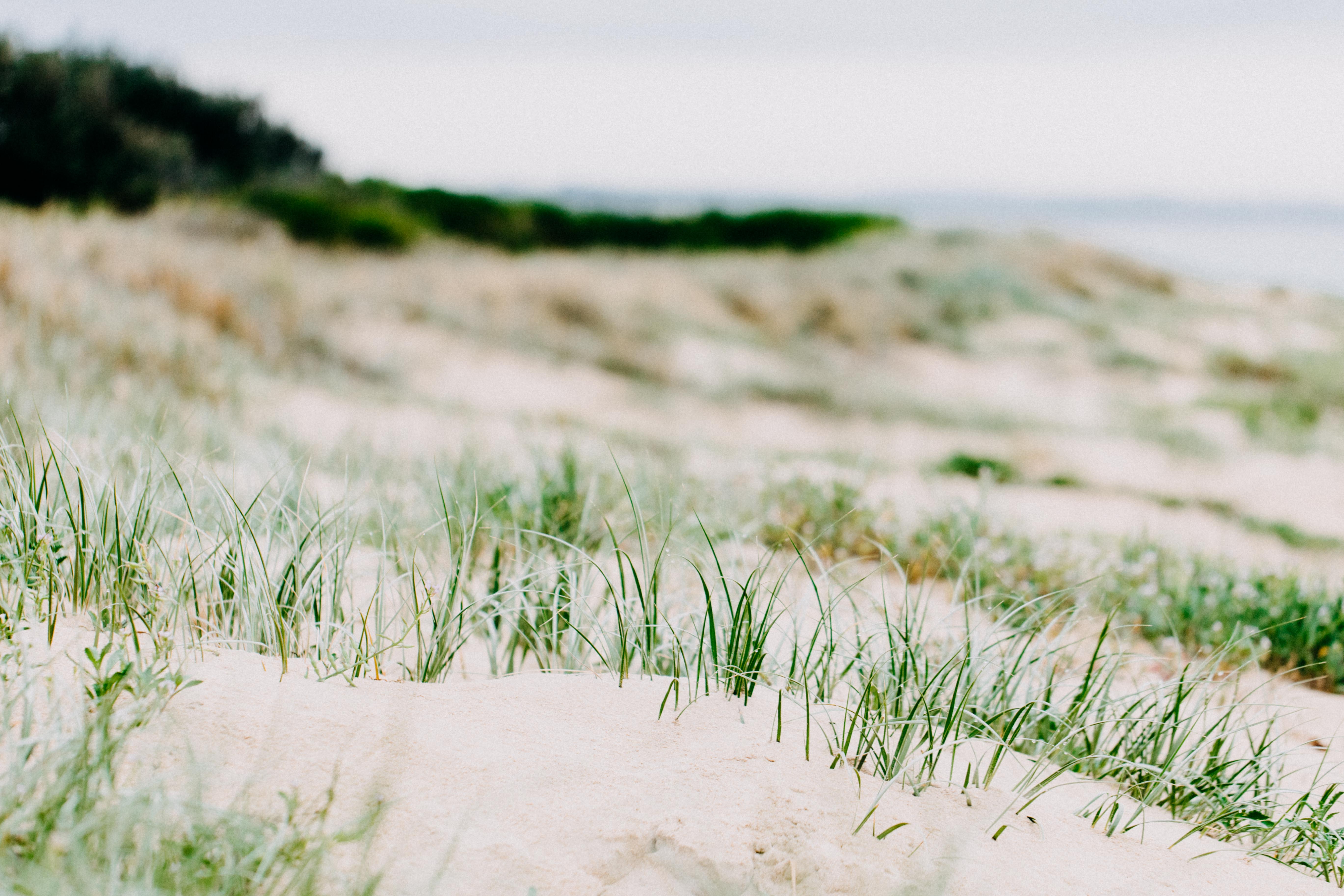 Moruya Beach IV Photographic Print - Emily O'Brien