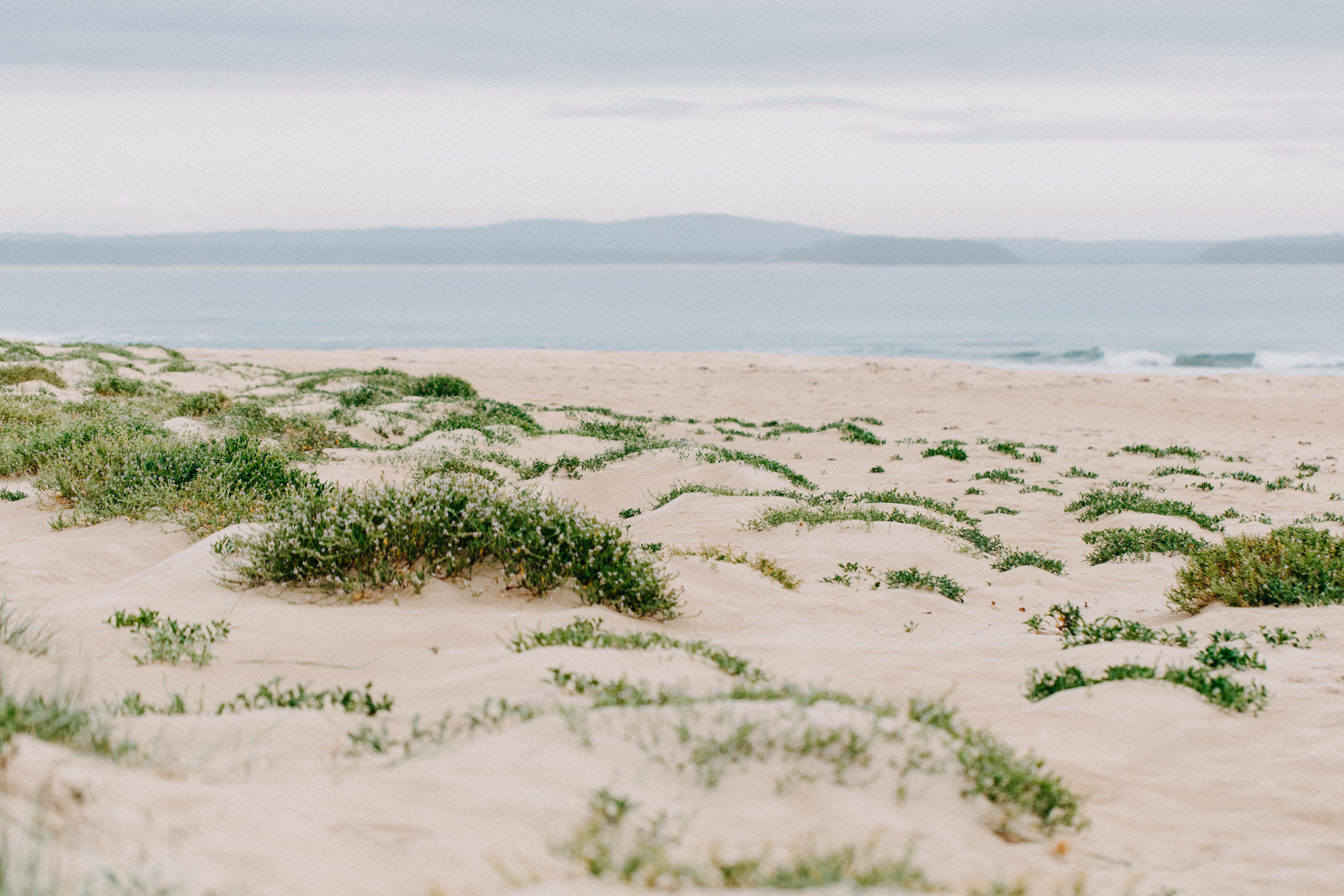Moruya Beach II Photographic Print - Emily O'Brien