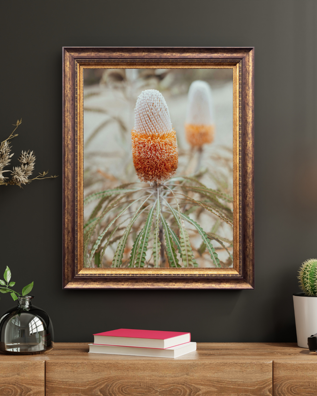 Australian Banksia Prionotes II Photographic Print