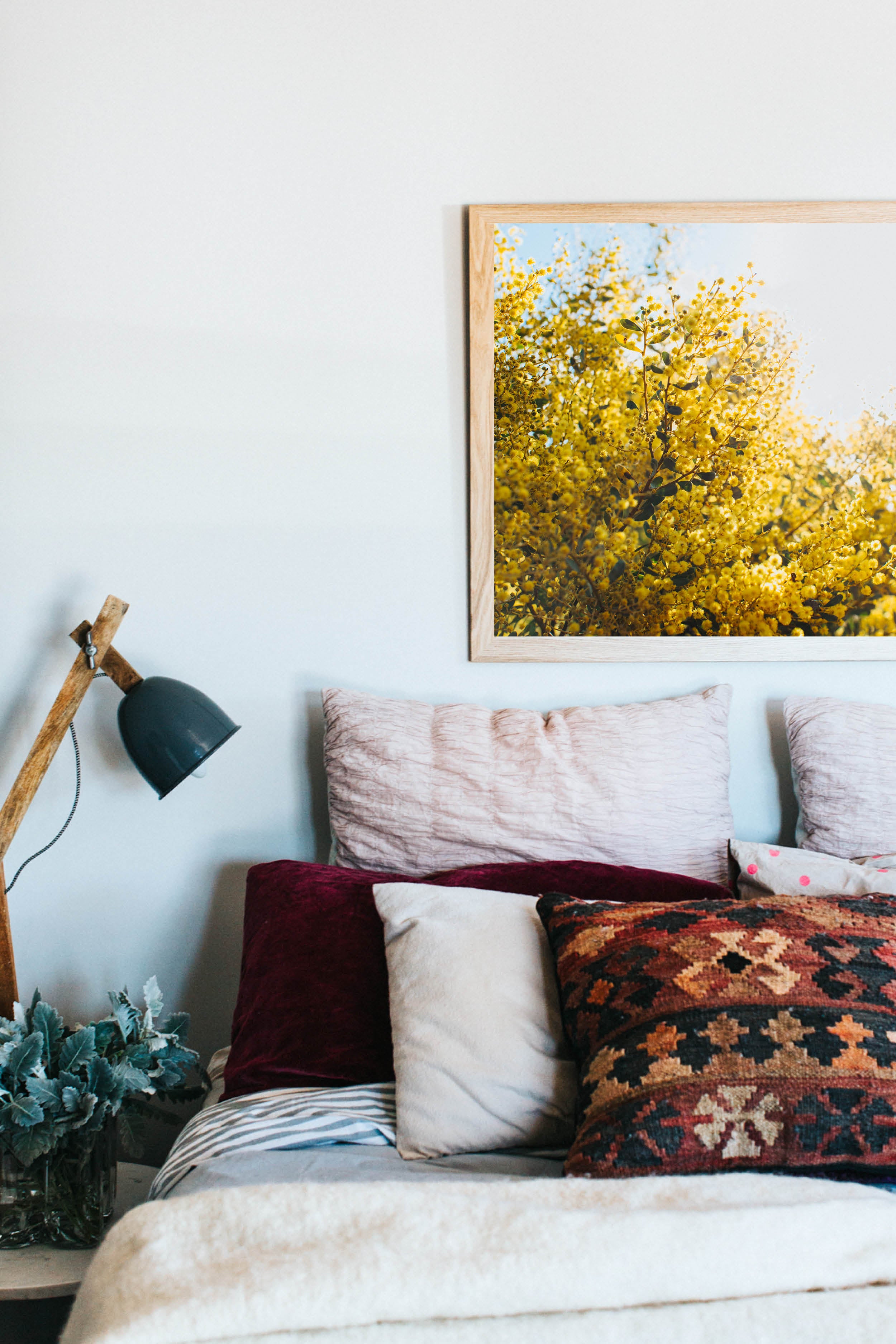 Australian Acacia Wattle Photographic Print - Emily O'Brien