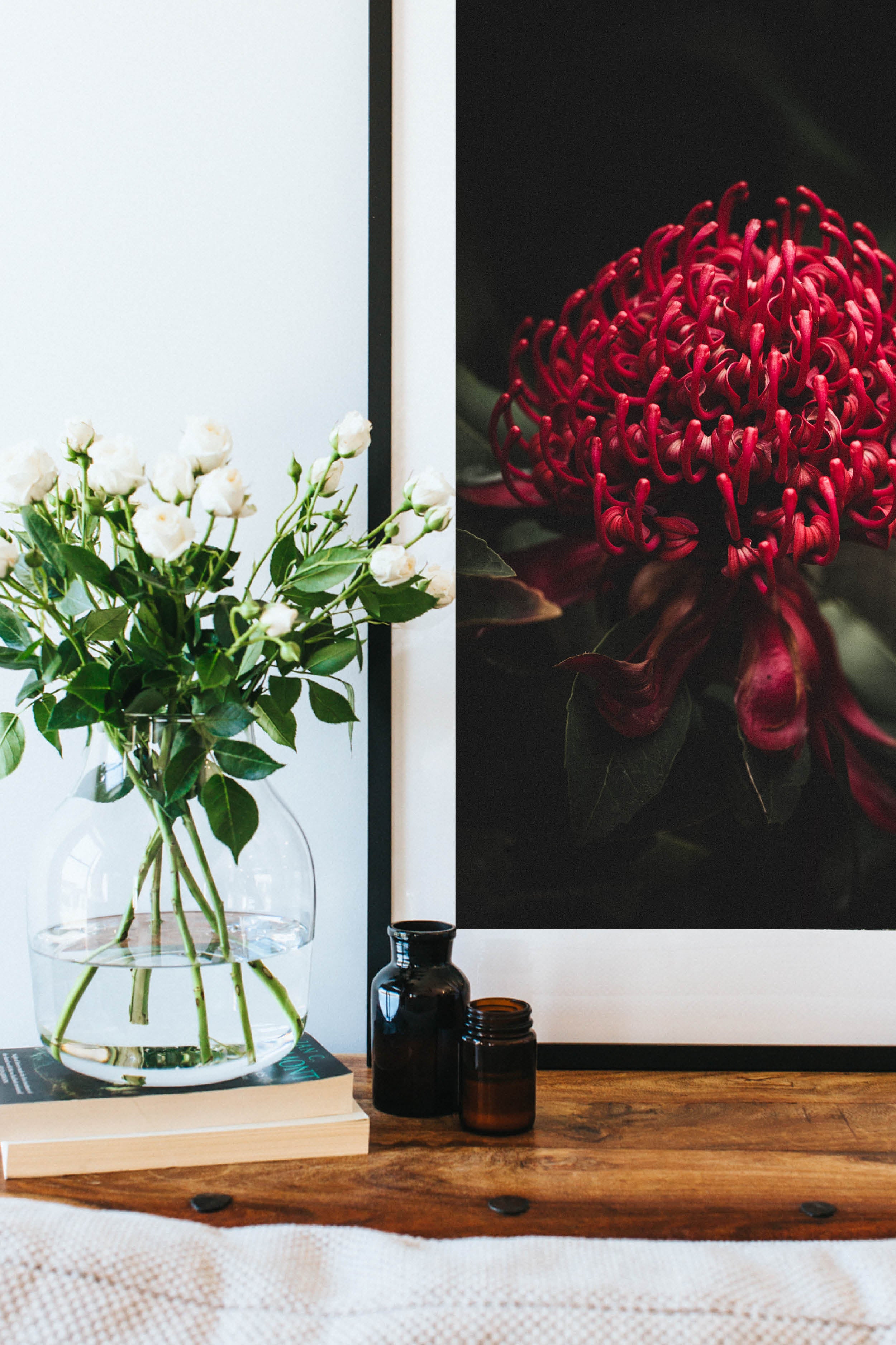Australian Waratah Photographic Print - Emily O'Brien