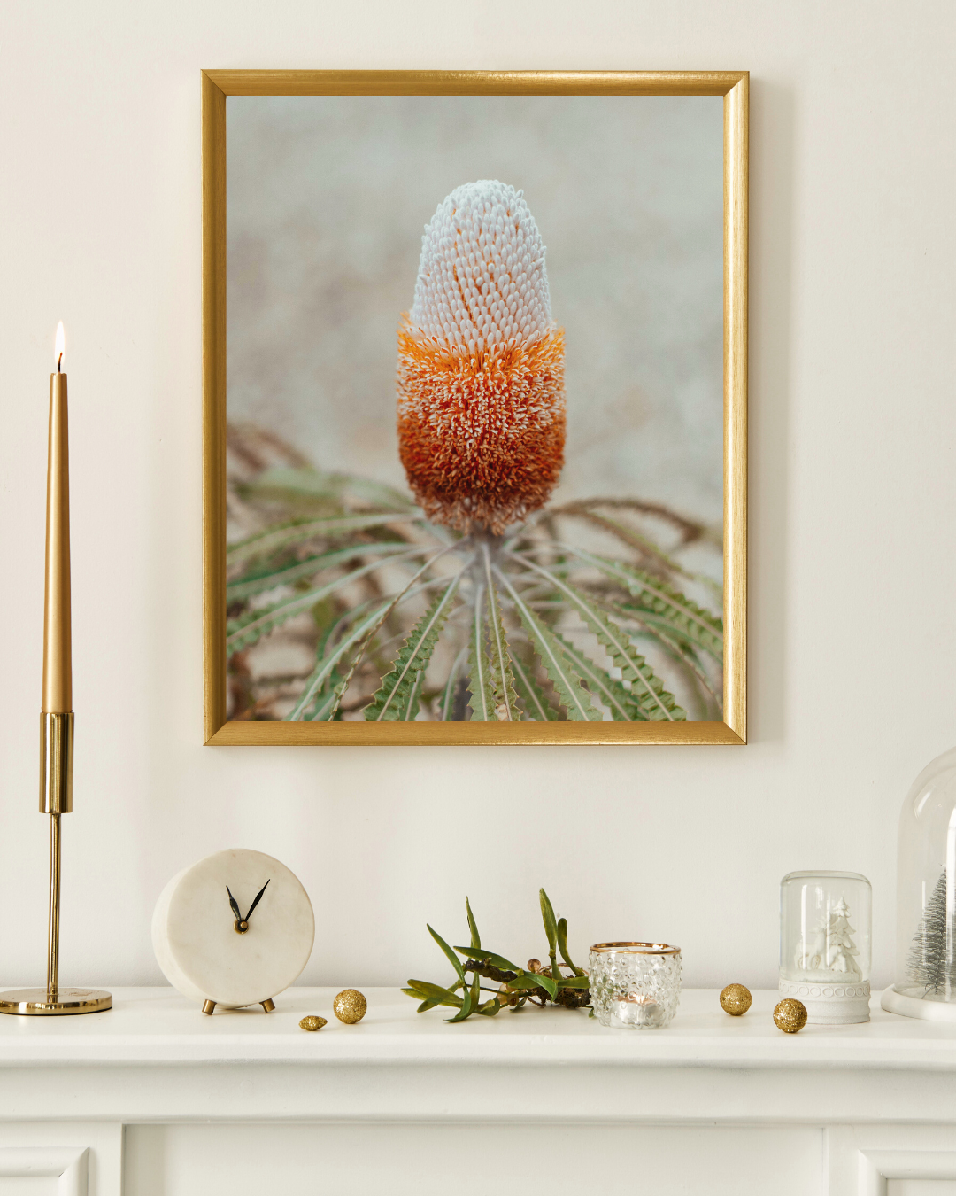 Australian Banksia Prionotes I Photographic Print