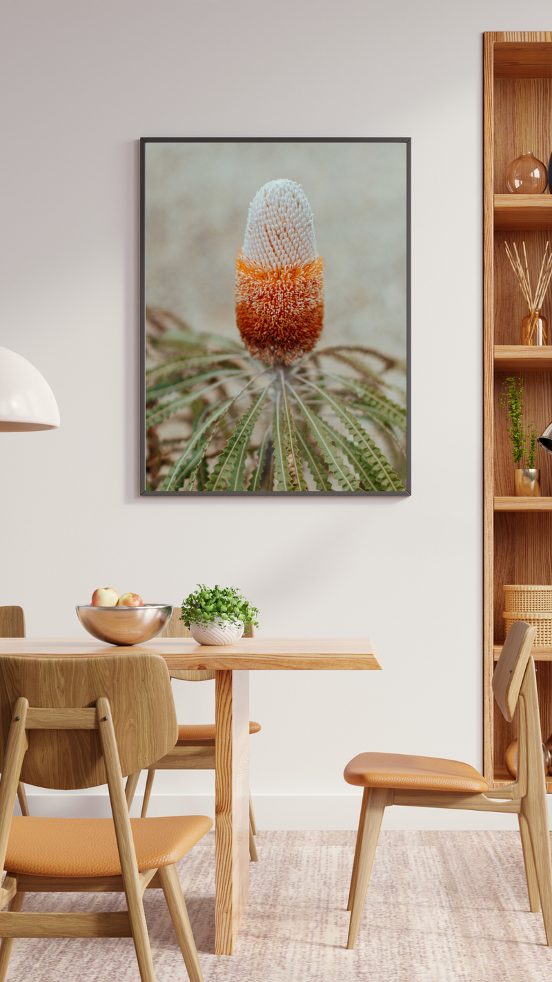 Australian Banksia Prionotes I Photographic Print