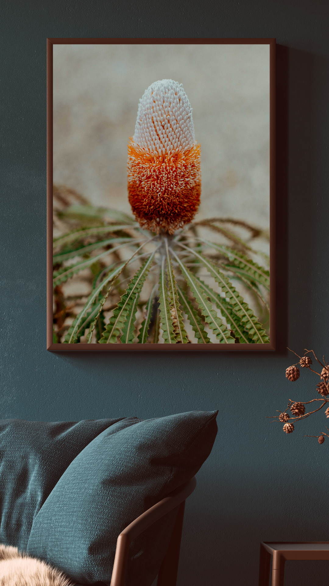 Australian Banksia Prionotes I Photographic Print