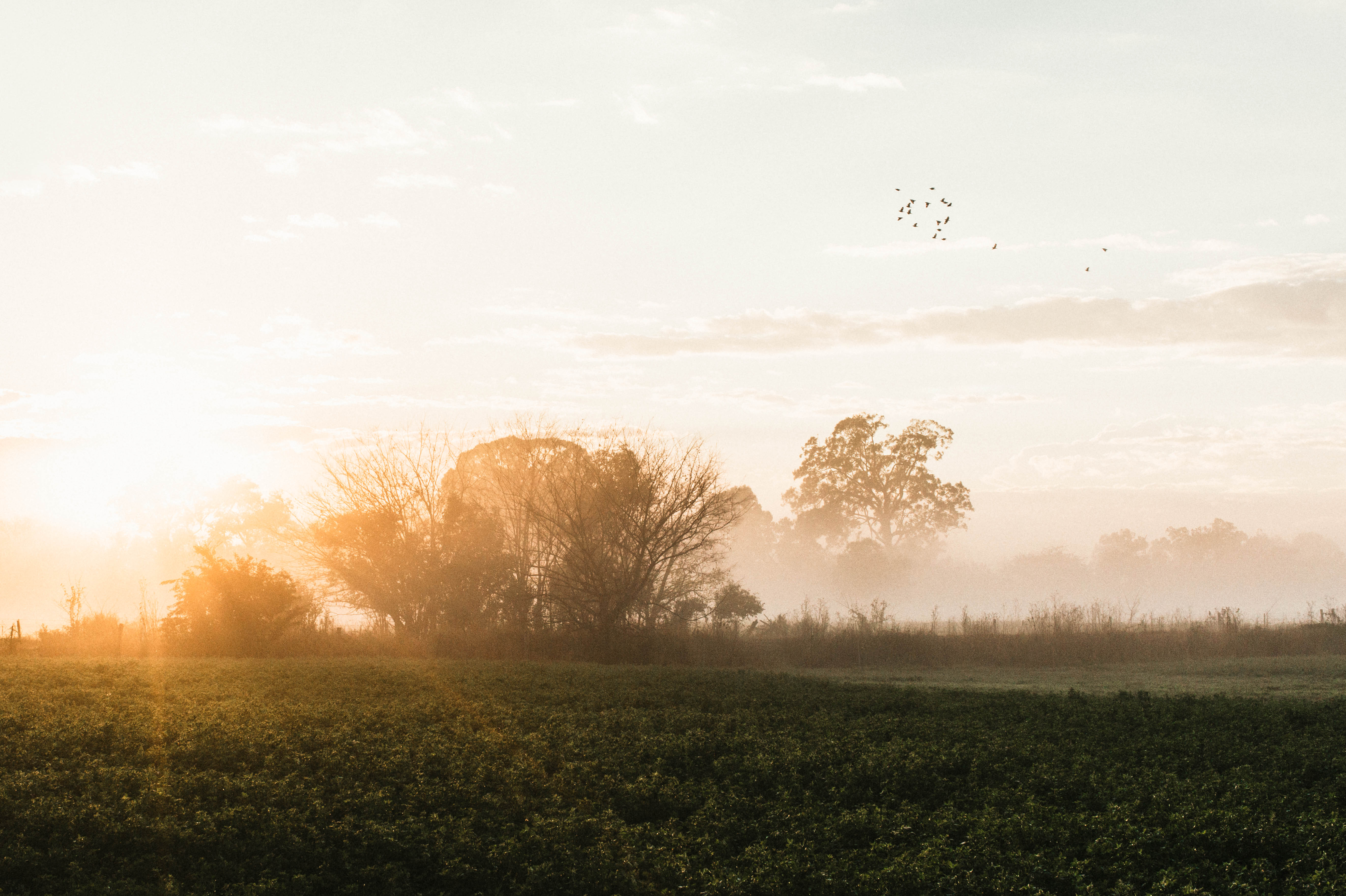 Brownlow Hill II Photographic Print - Emily O'Brien