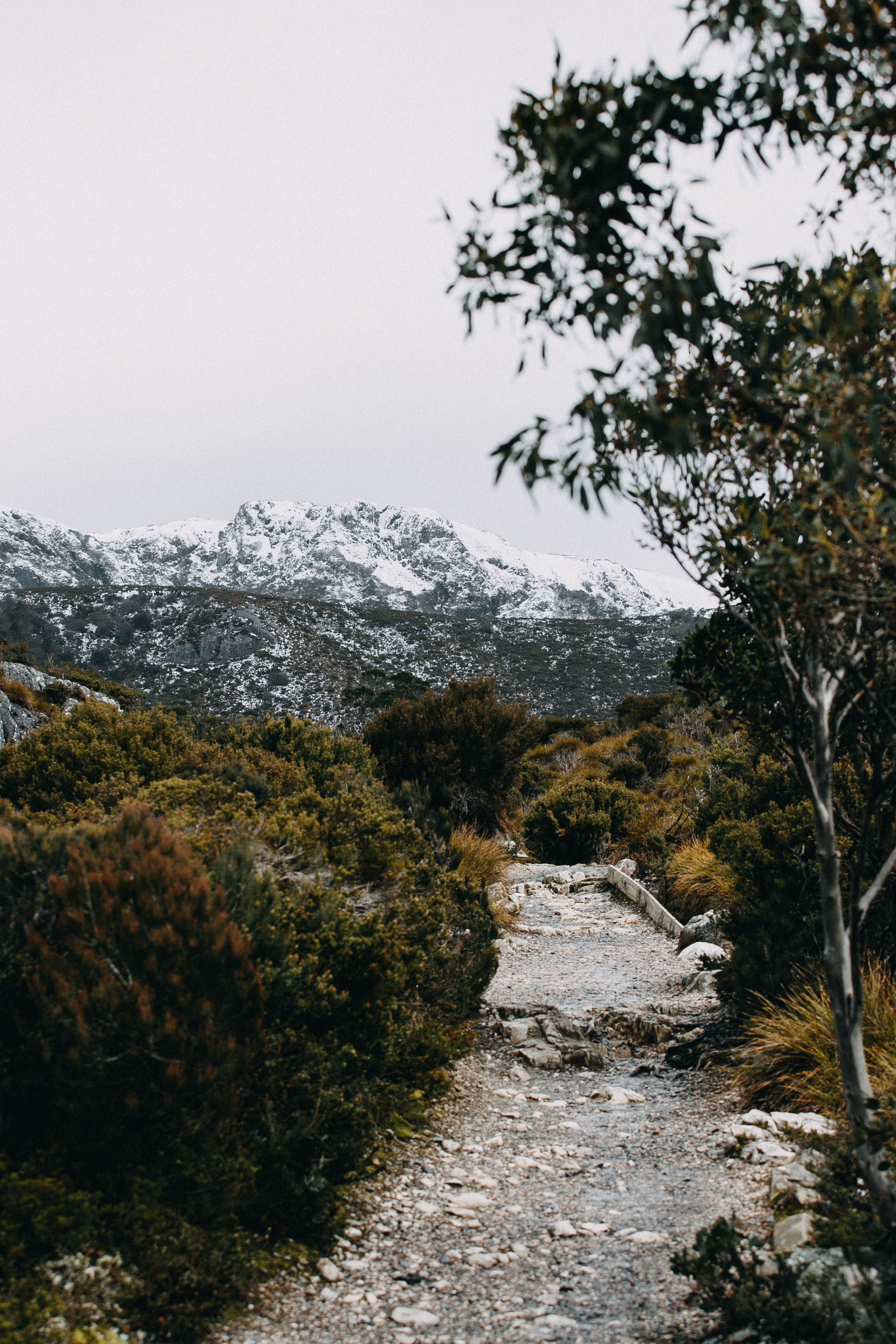 Cradle Mountain II Photographic Print - Emily O'Brien