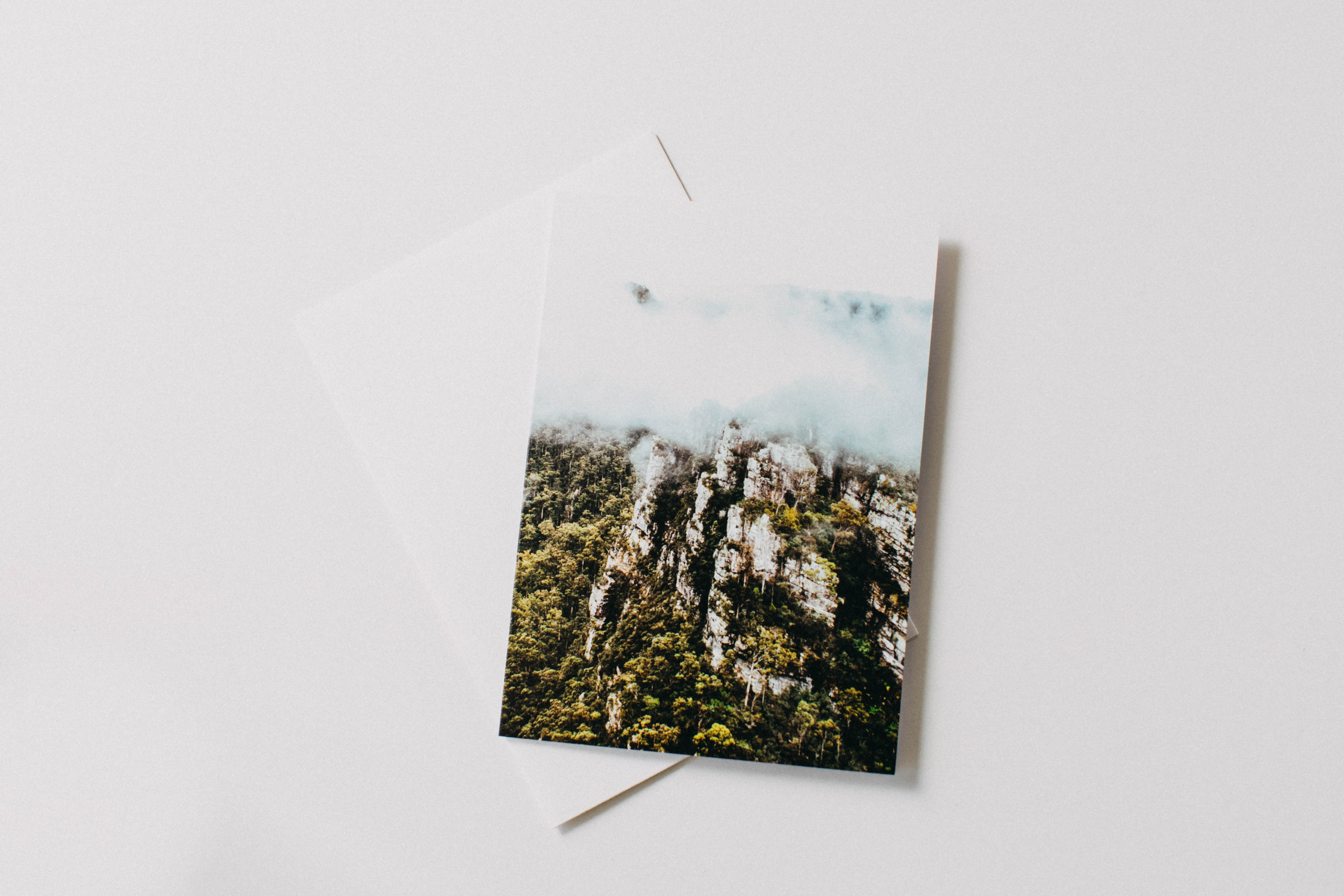 Tasmanian Rainforest Into the Mist Greeting Card - Emily O'Brien