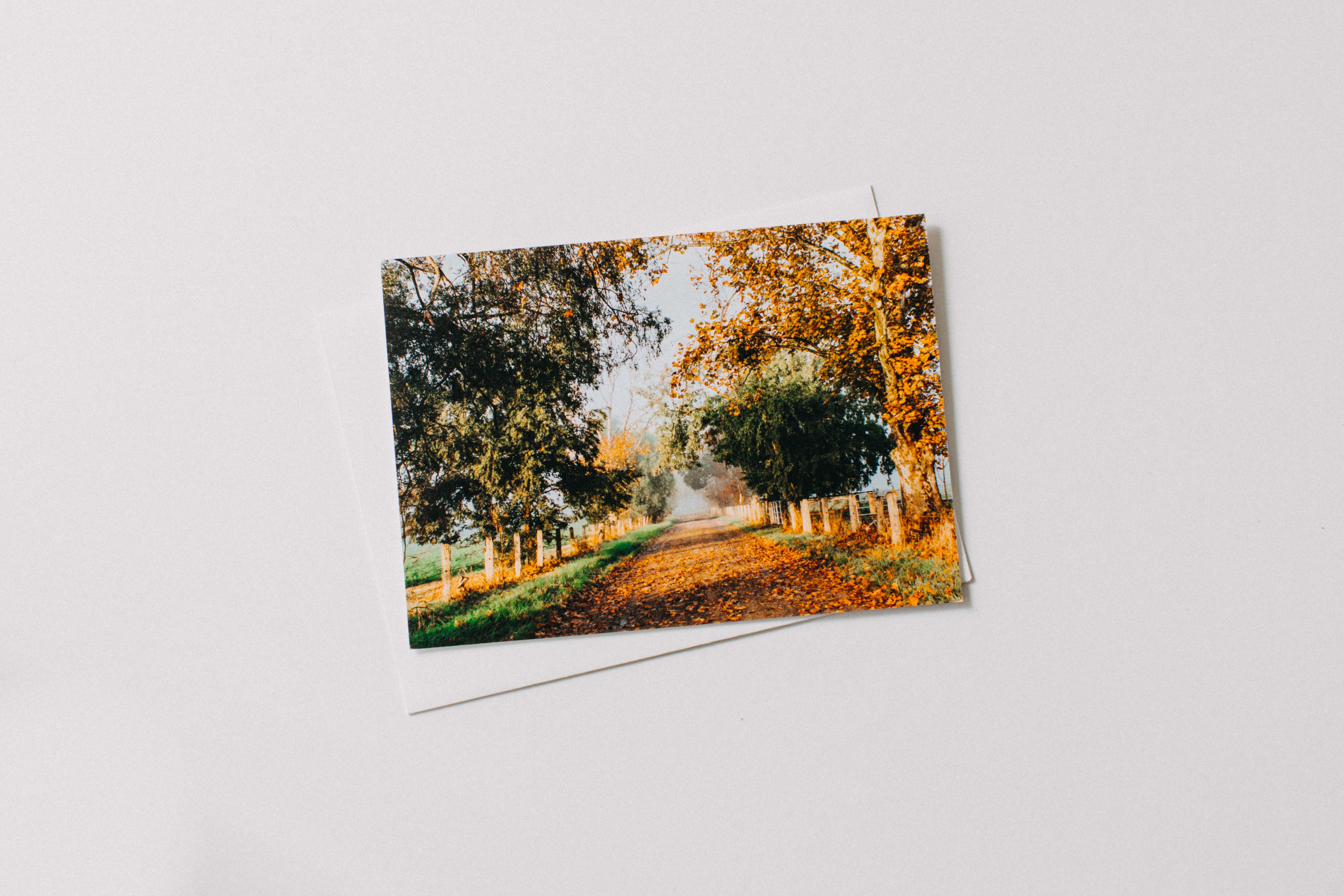 Brownlow Hill Greeting Card - Emily O'Brien